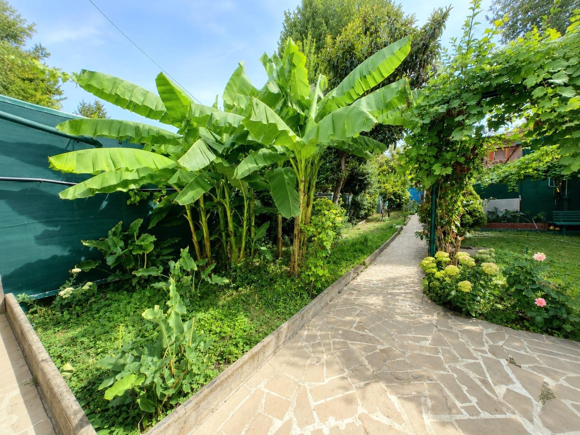 Photo SAFTI — Maison 5 pièces, 132 m² à Alfortville 3