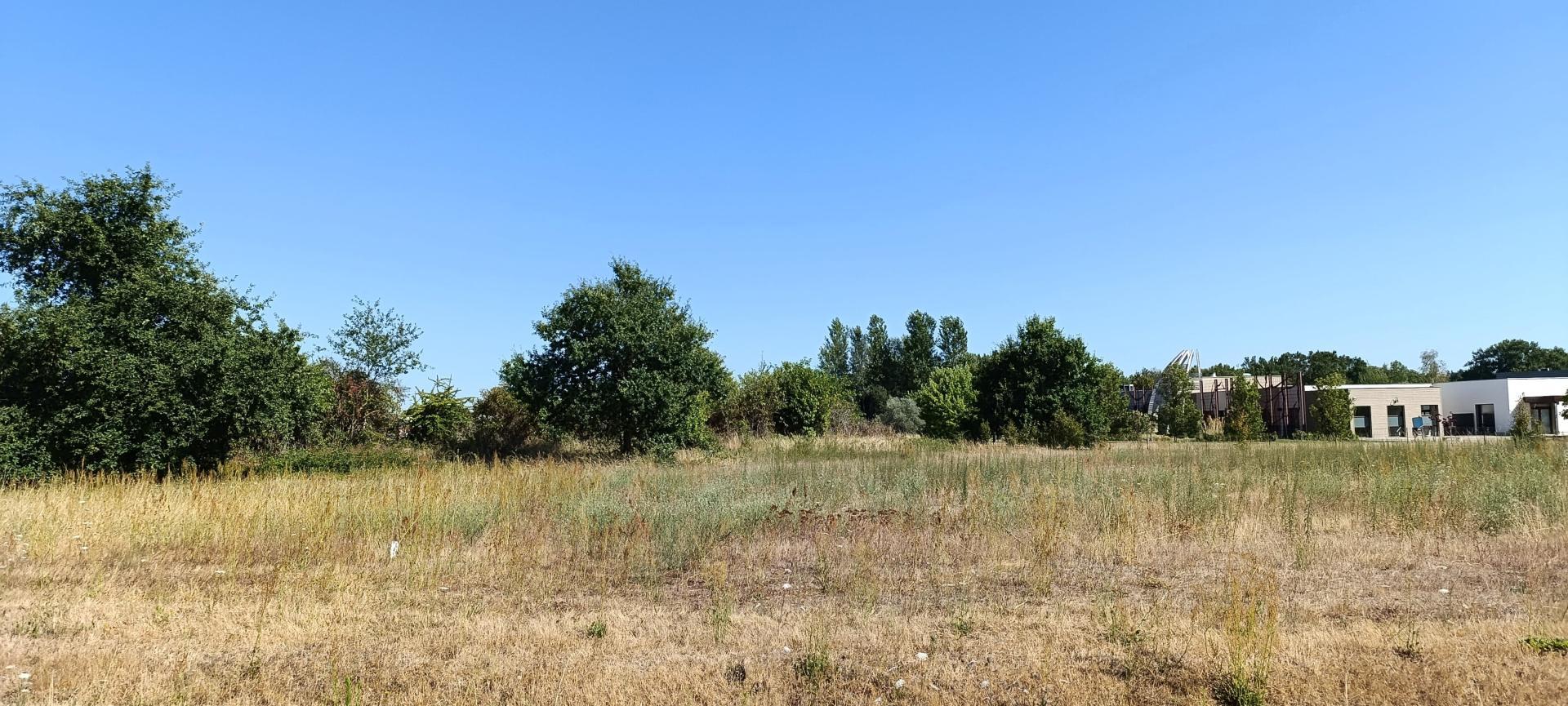 Photo-terrain