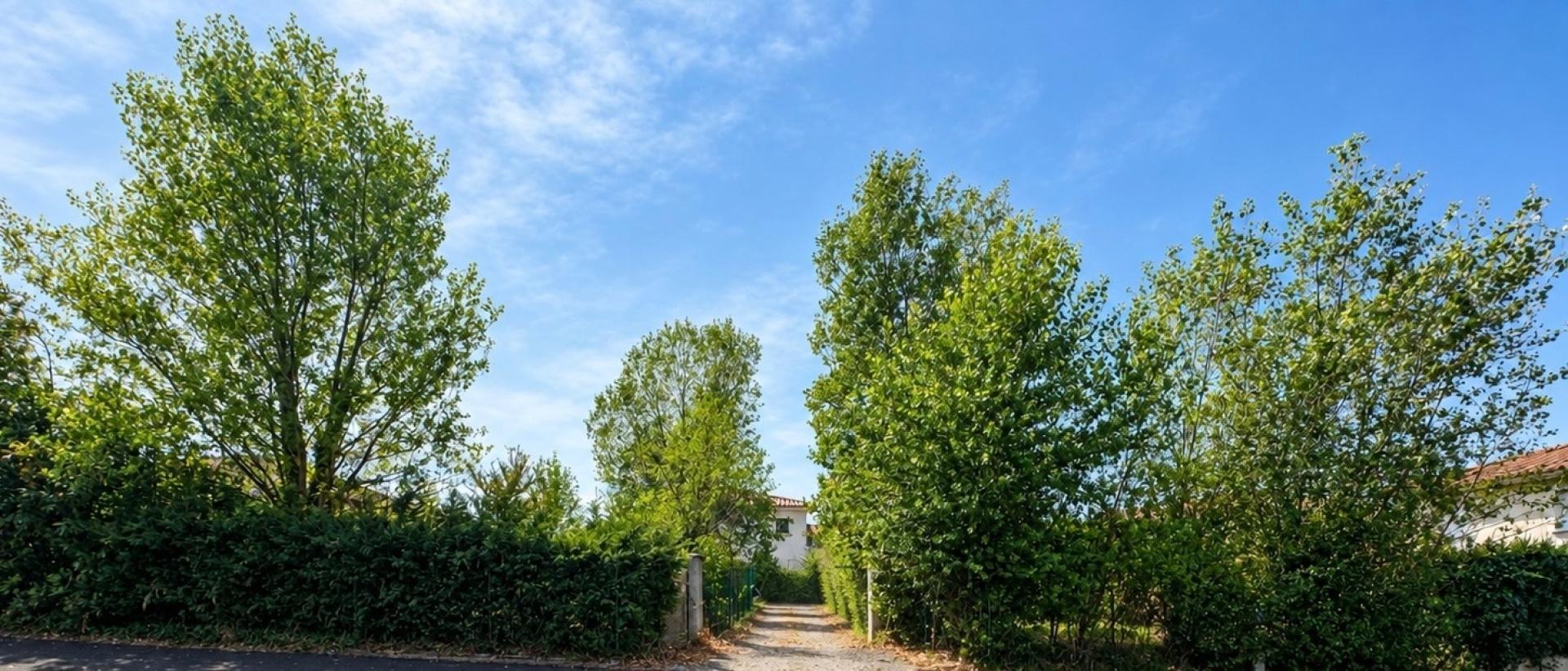 Photo-terrain