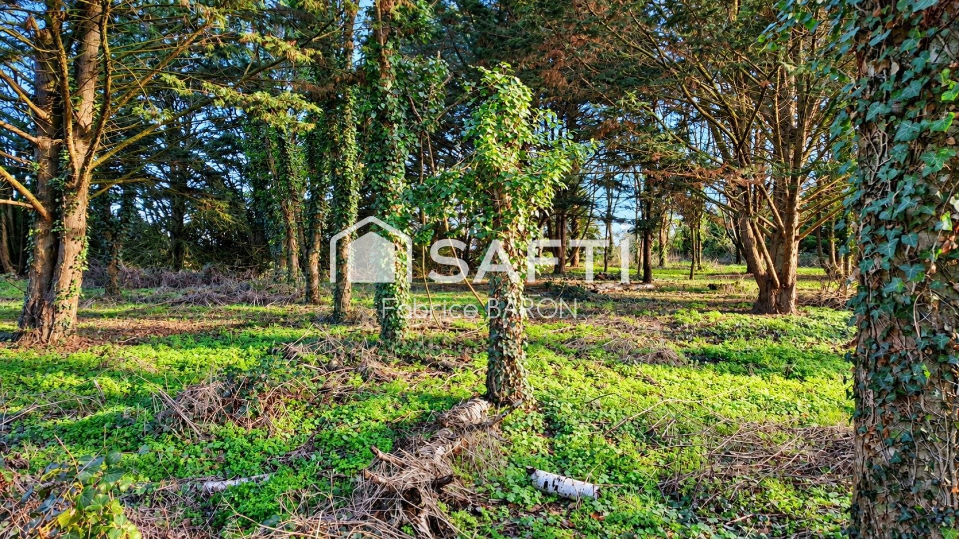 Photo SAFTI — Maison 3 pièces, 80 m² à Monts Sur Guesnes 5