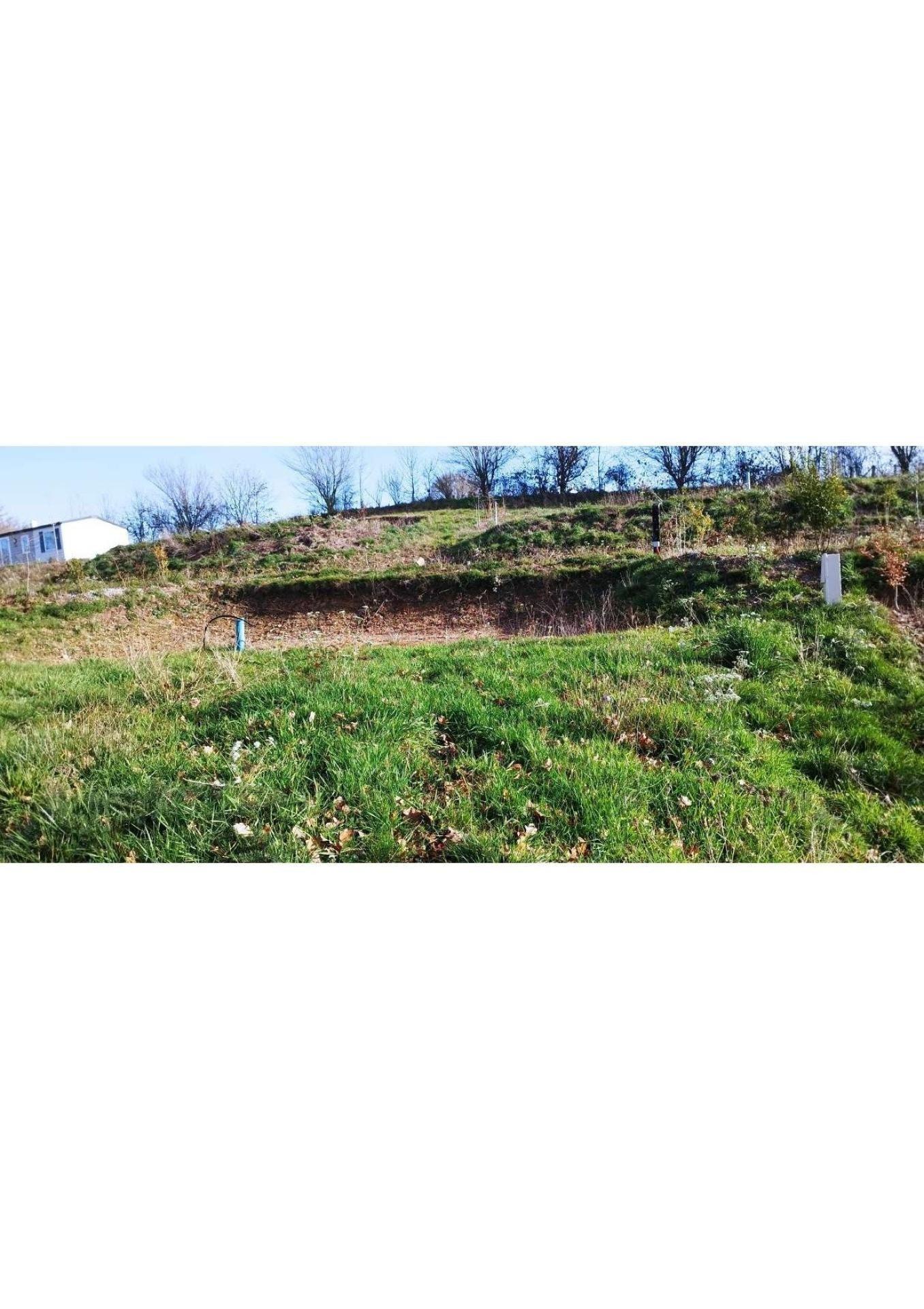 Photo-terrain