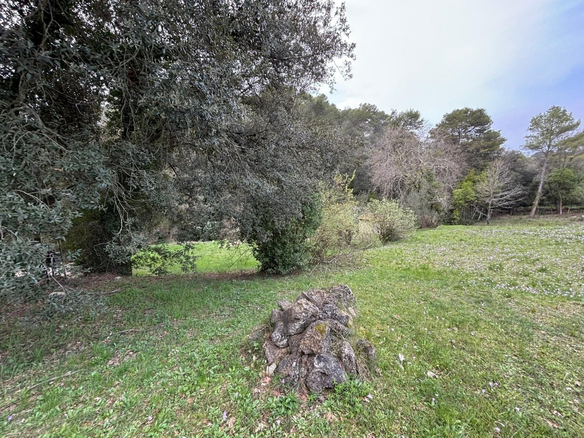 Foto 2 del anuncio.