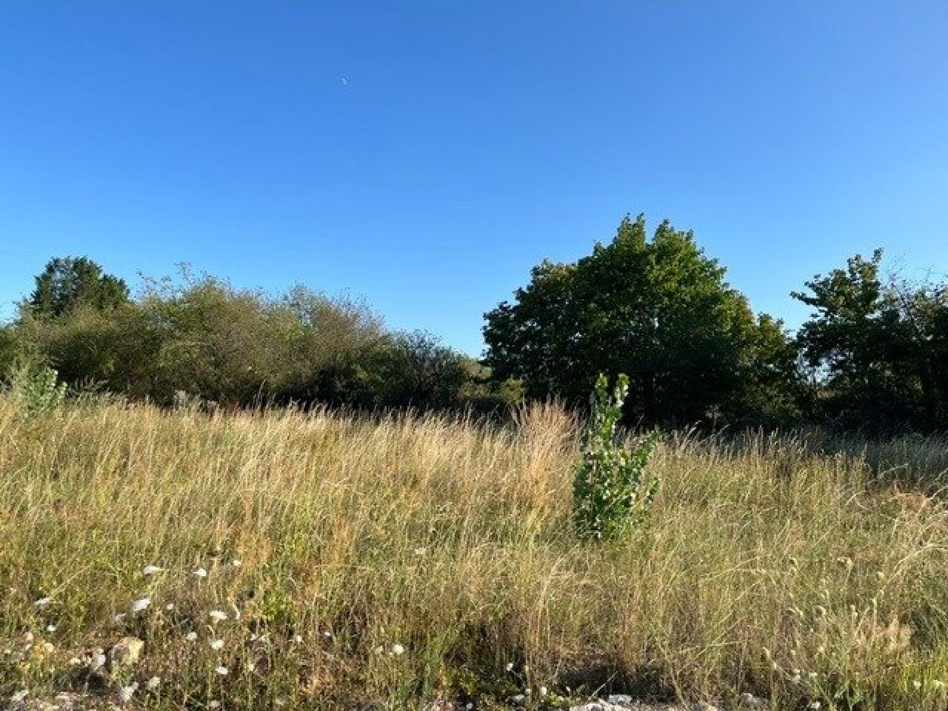 Photo-terrain