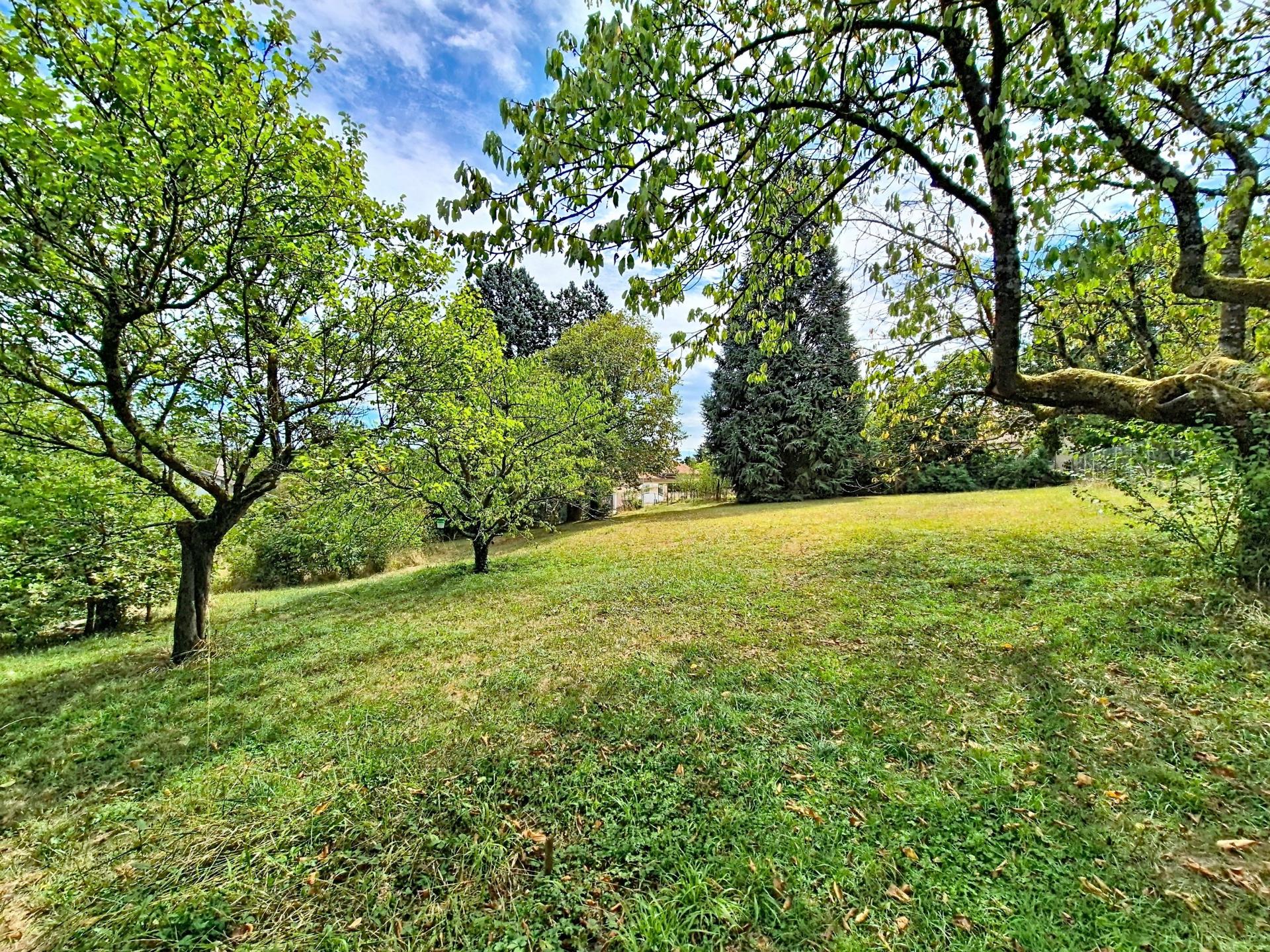 Photo-terrain