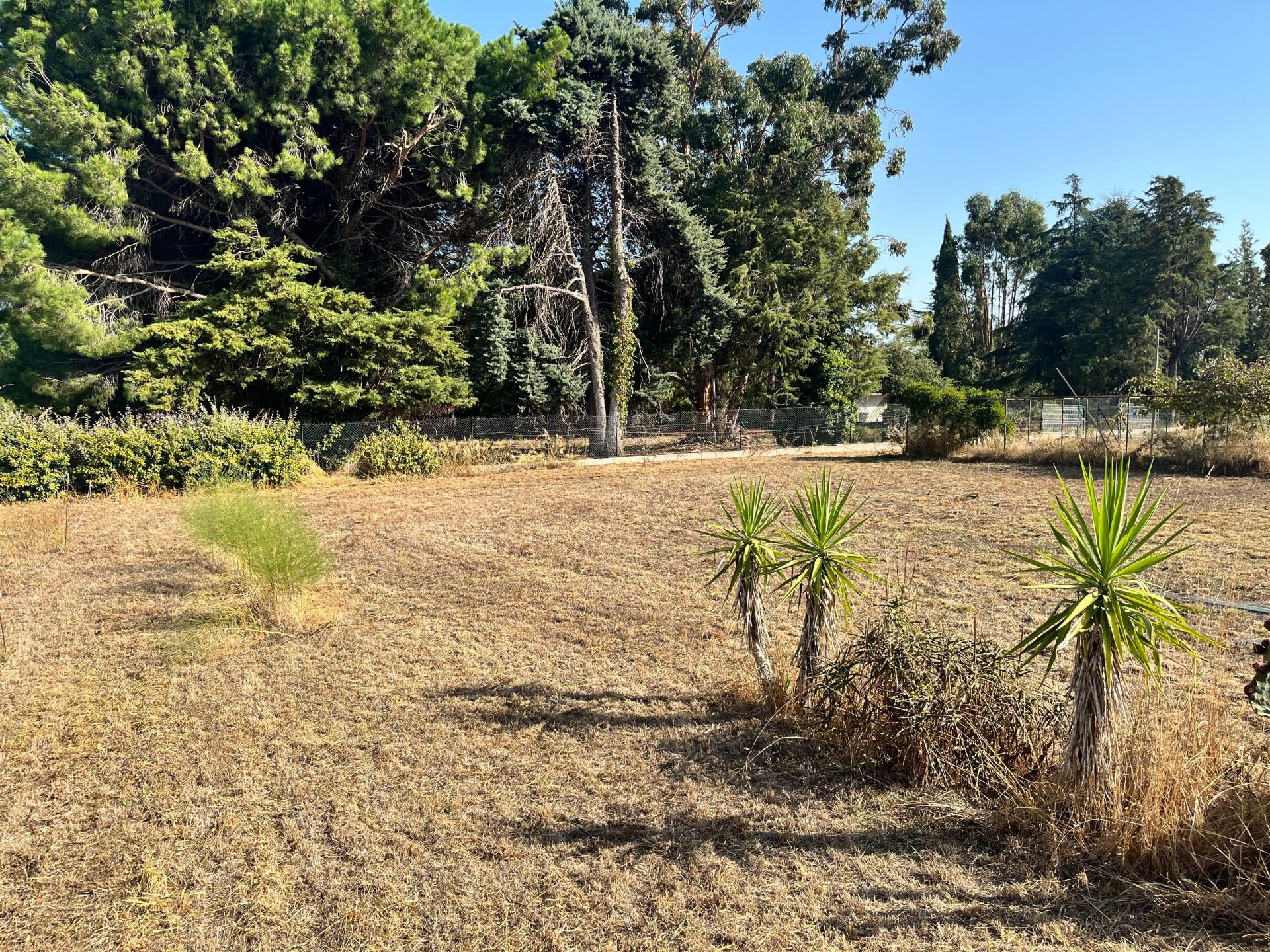 Photo-terrain