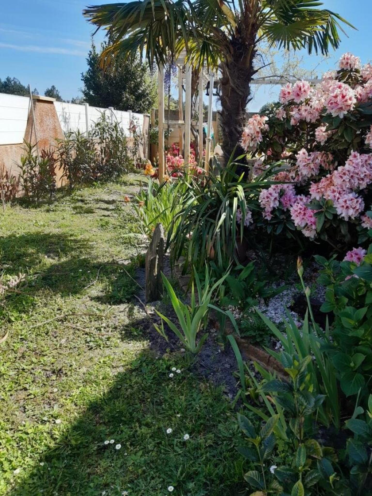 Photo SAFTI — Maison 5 pièces, 110 m² à Audenge 4