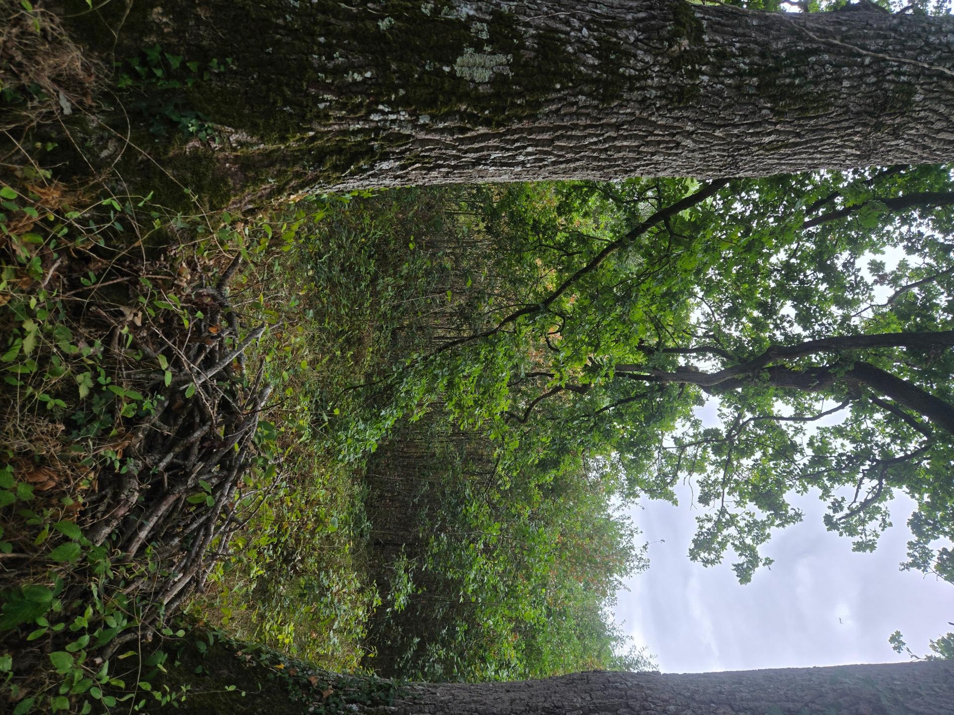 Photo-terrain