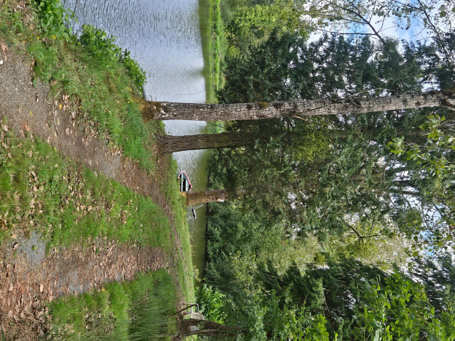 Photo-terrain