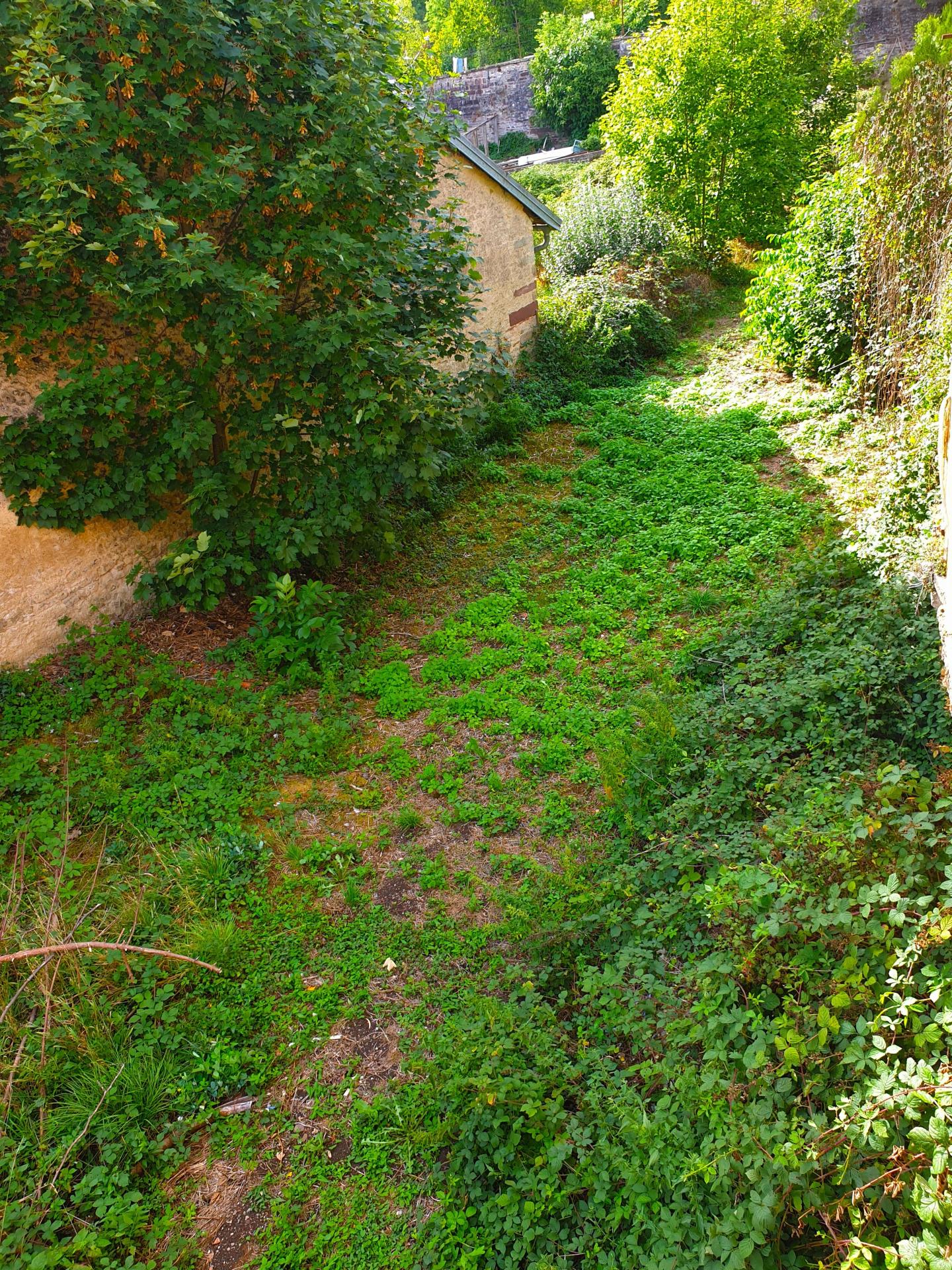SAINT-LOUP-SUR-SEMOUSE (70800) — IMMEUBLE À RÉNOVER ENTIÈREMENT