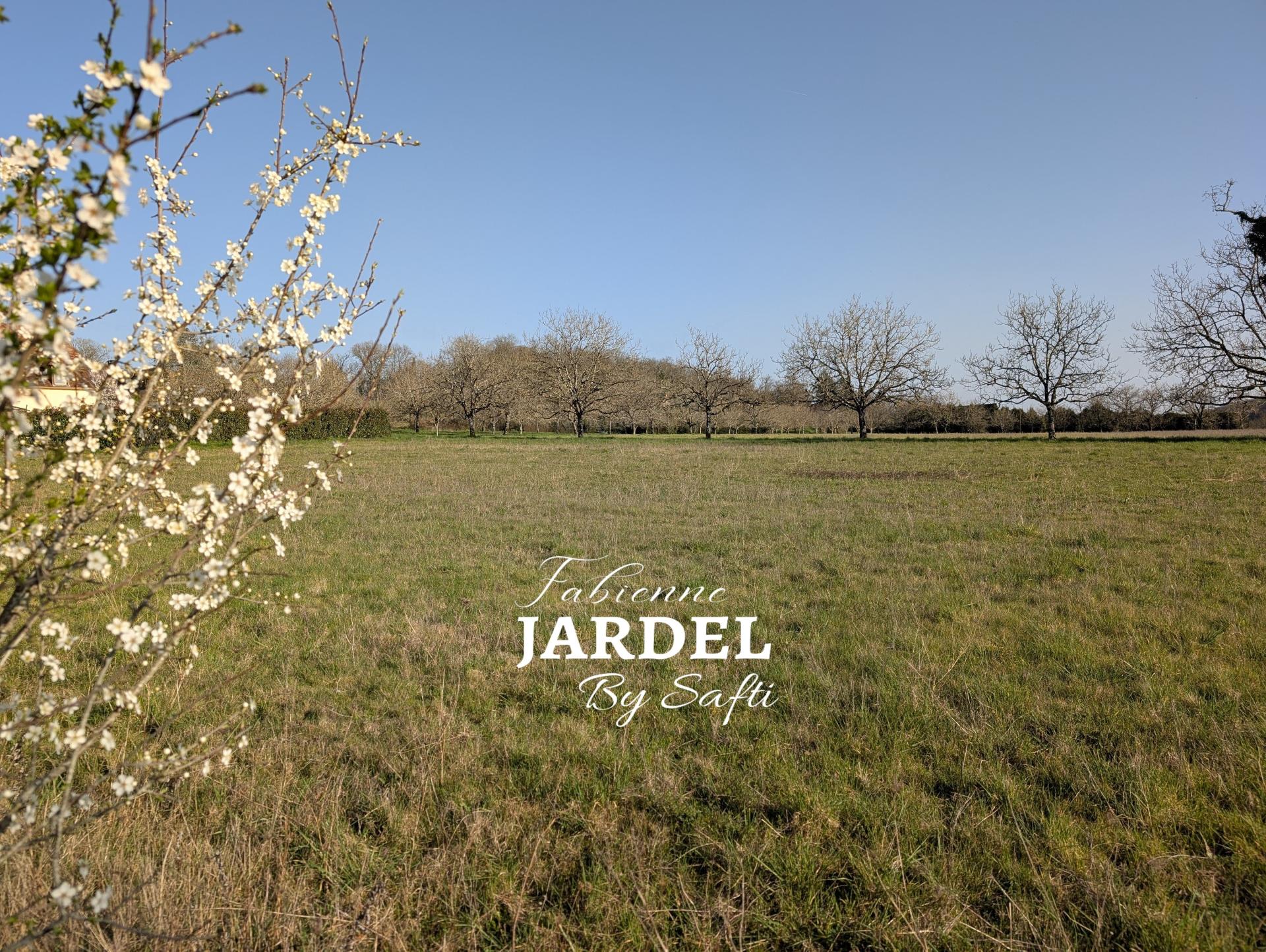 Photo-terrain