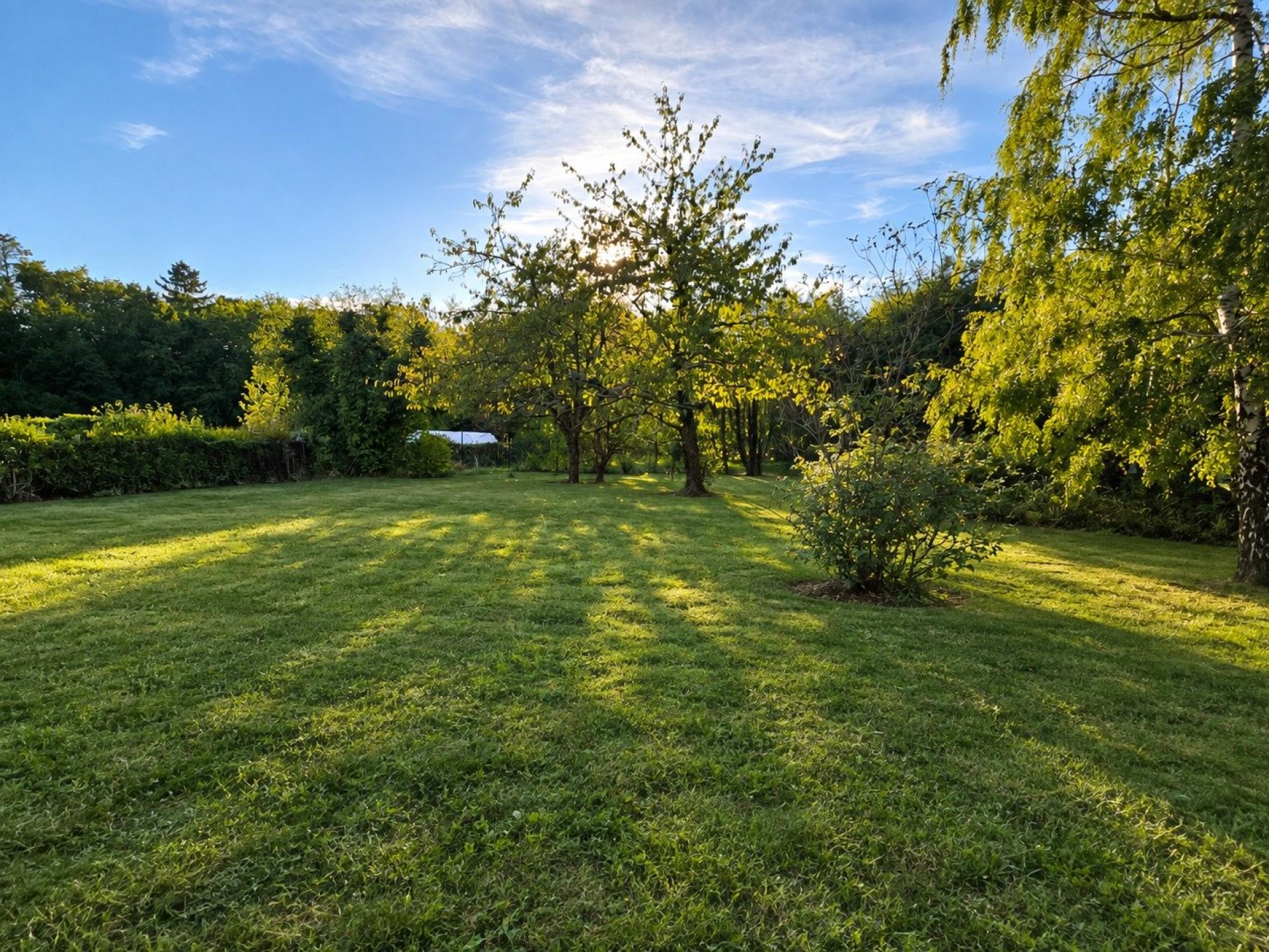 Photo-terrain
