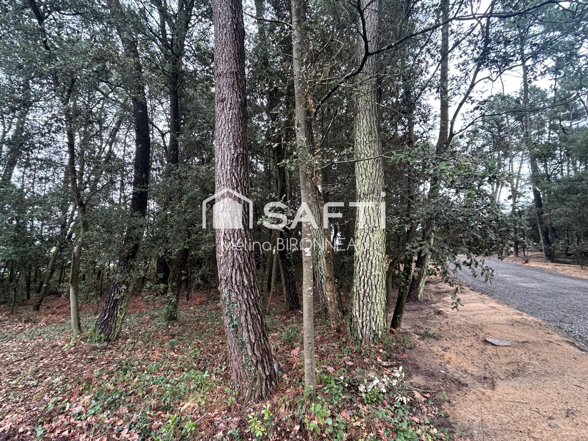 Photo-terrain