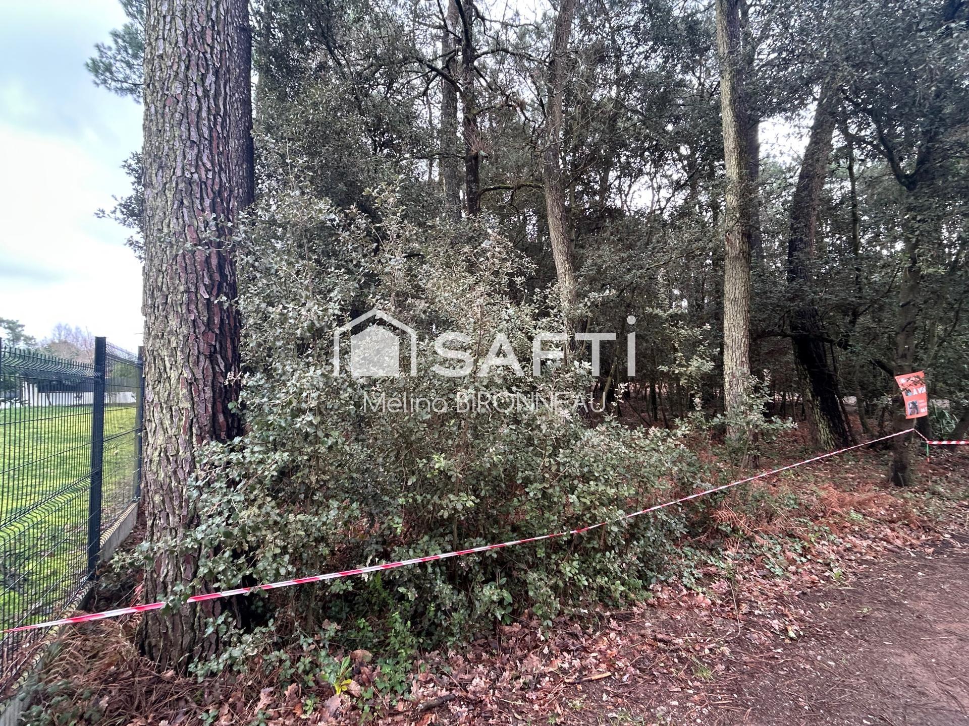Photo-terrain