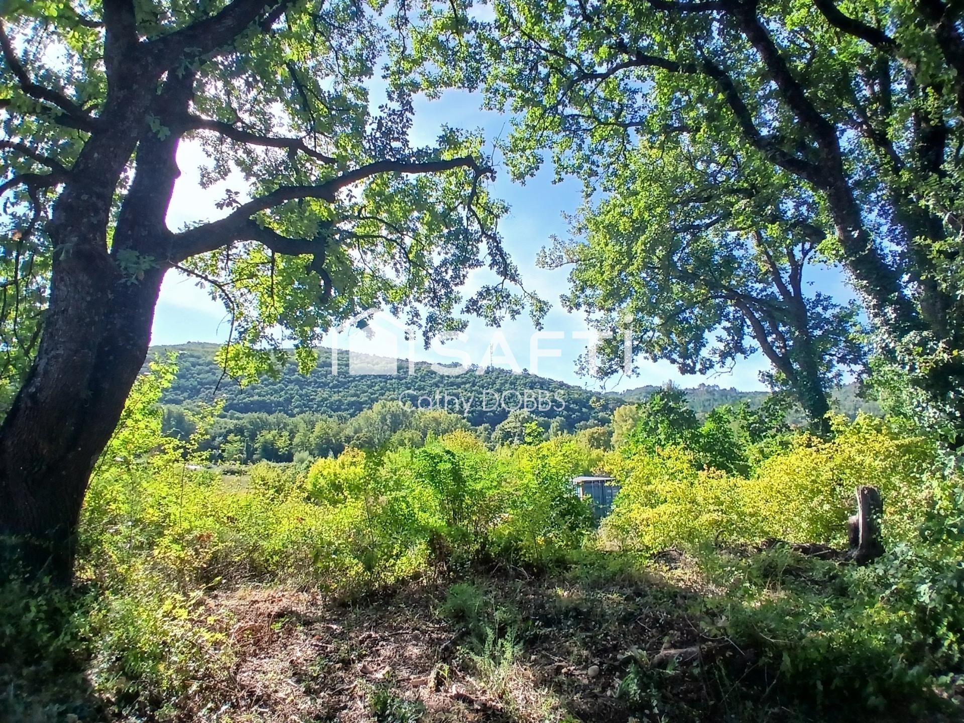 Photo-terrain