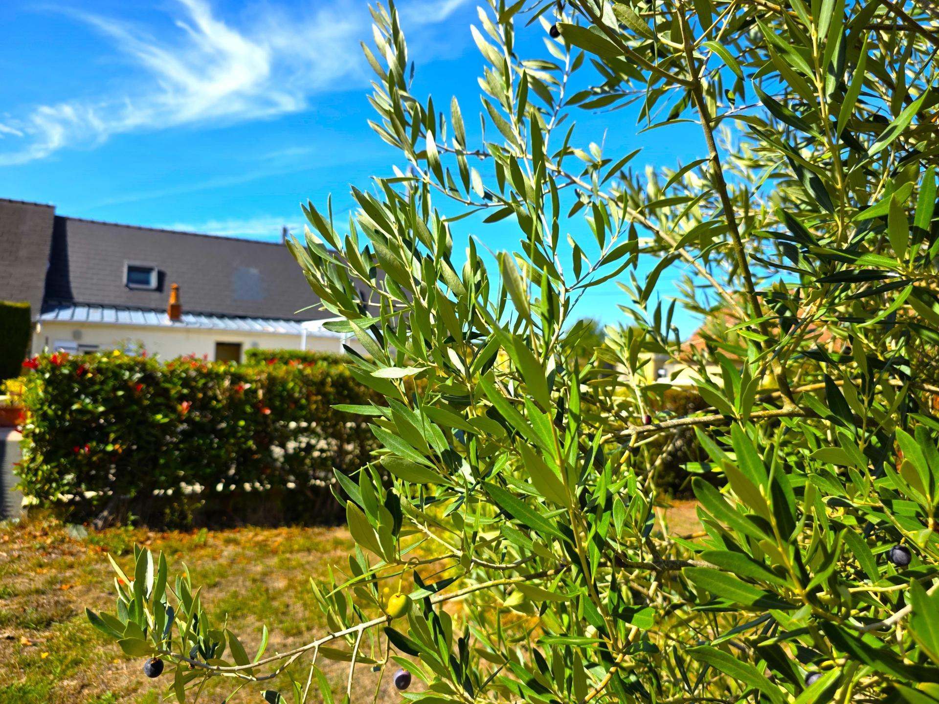Photo-maison