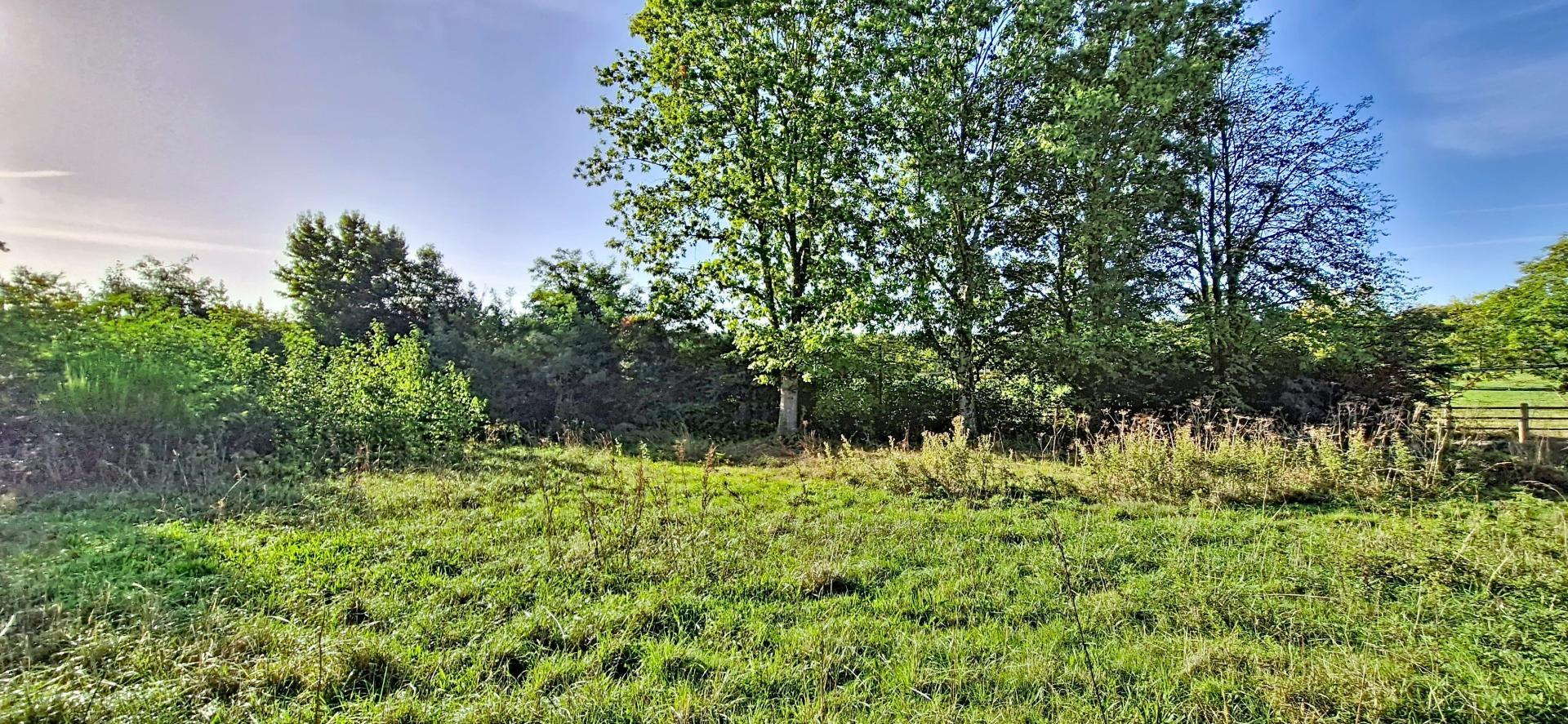 Photo-terrain