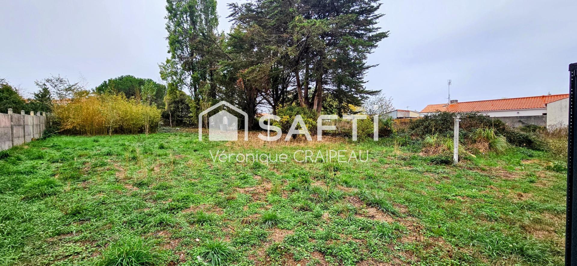 Photo-terrain
