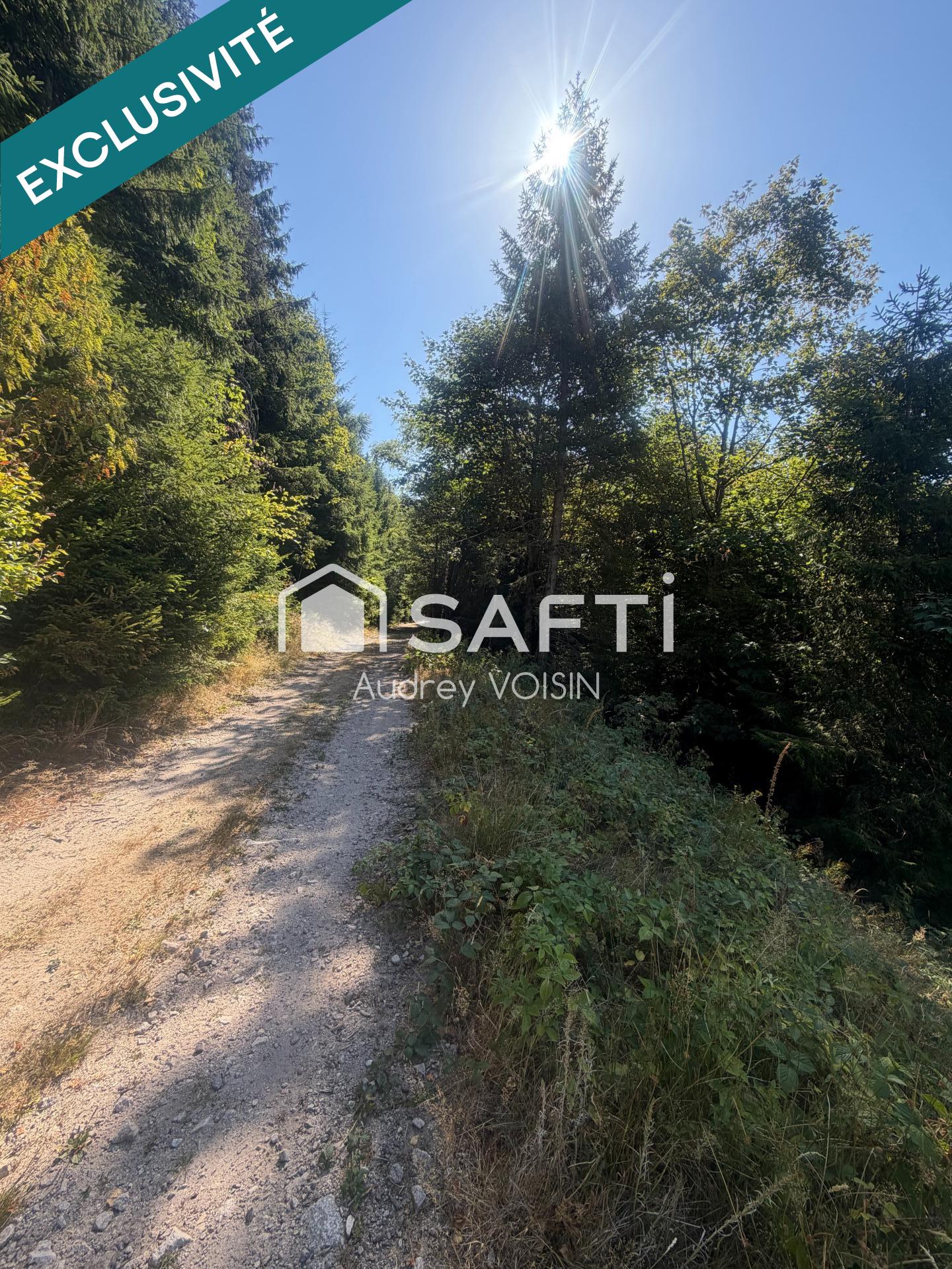 EN EXCLUSIVITE UNE BELLE FORÊT DE PLUS DE 3 HECTARES