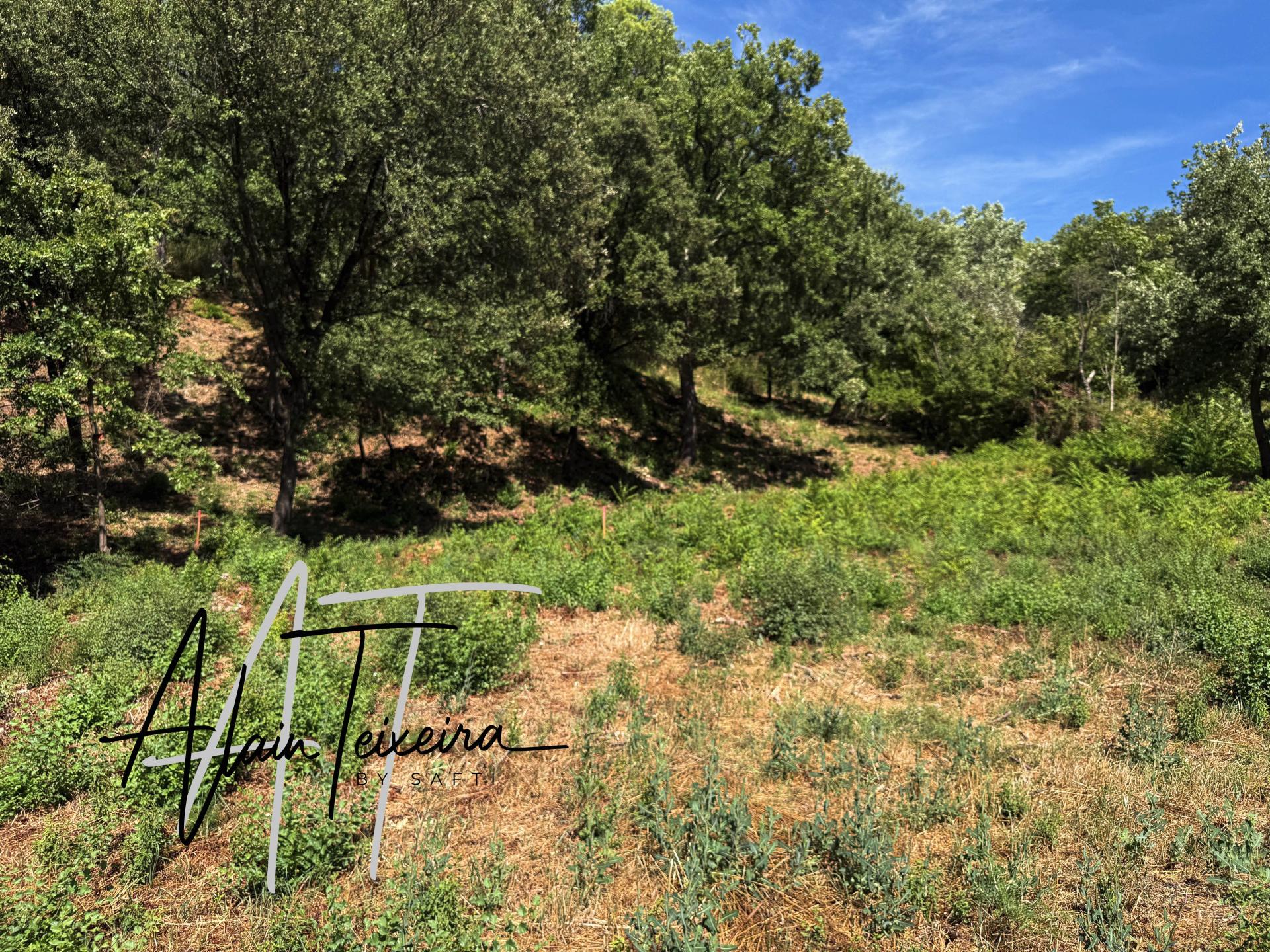 Photo-terrain