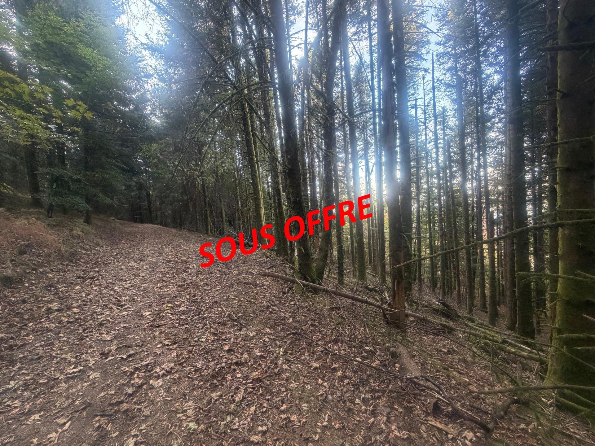 Photo-terrain