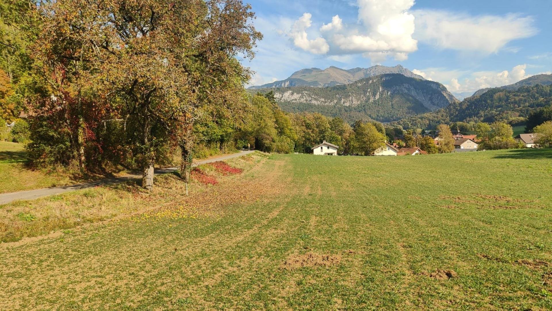 Photo 6 de l'annonce.