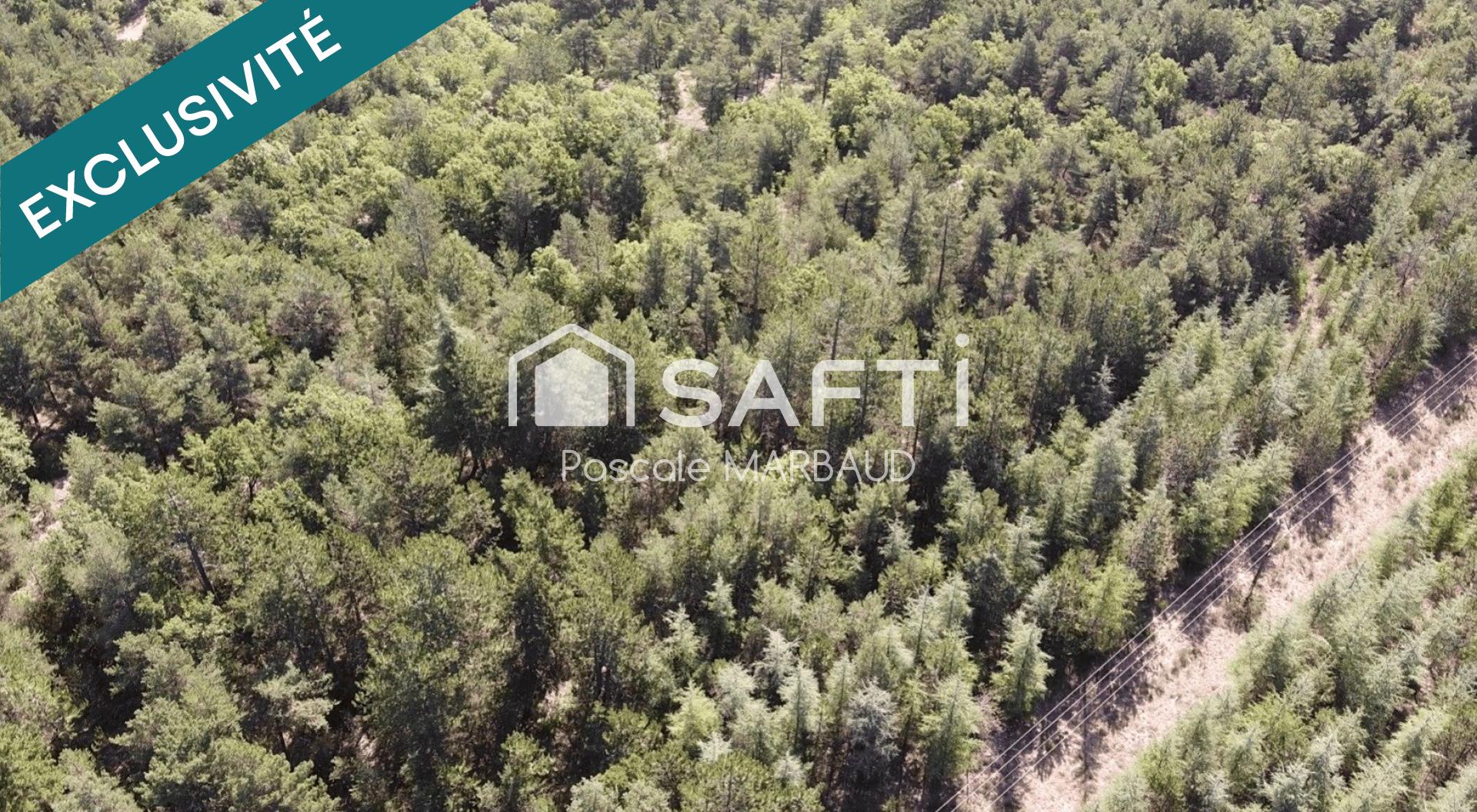 Forêt labellisée ECOCERT avec plan de gestion simple