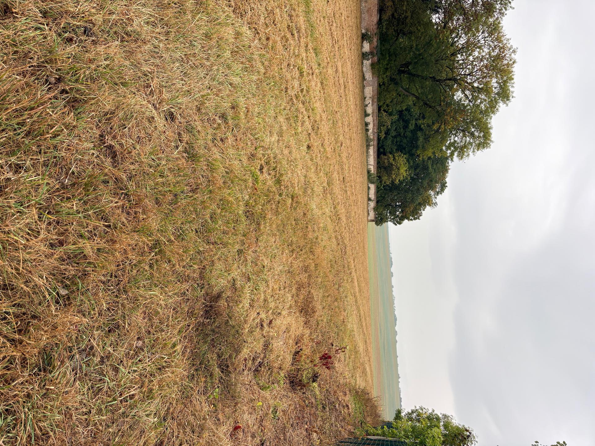 Photo-terrain