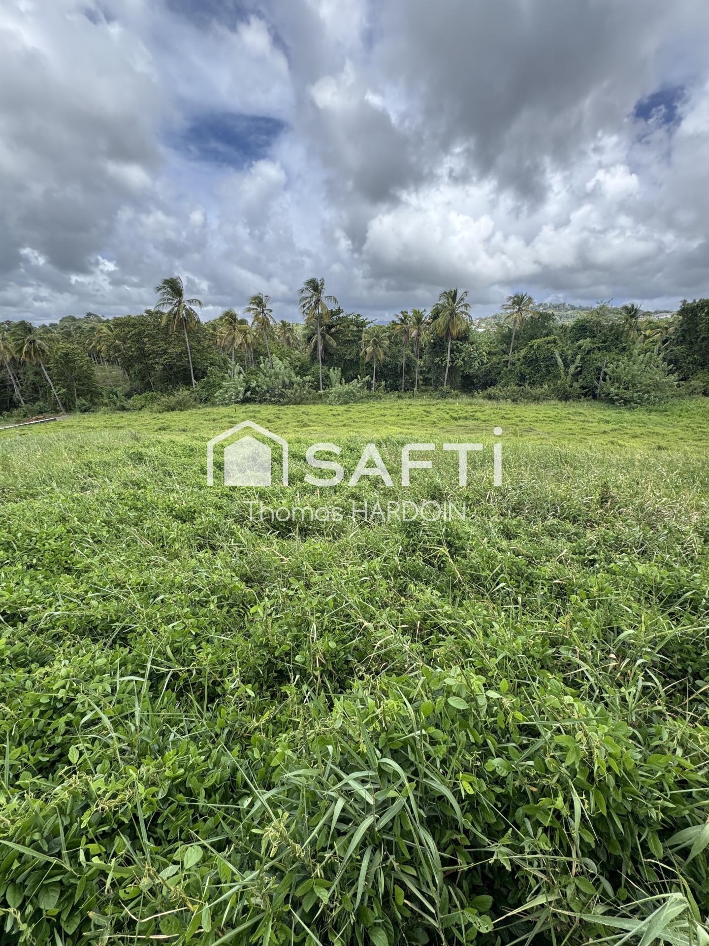Photo-terrain