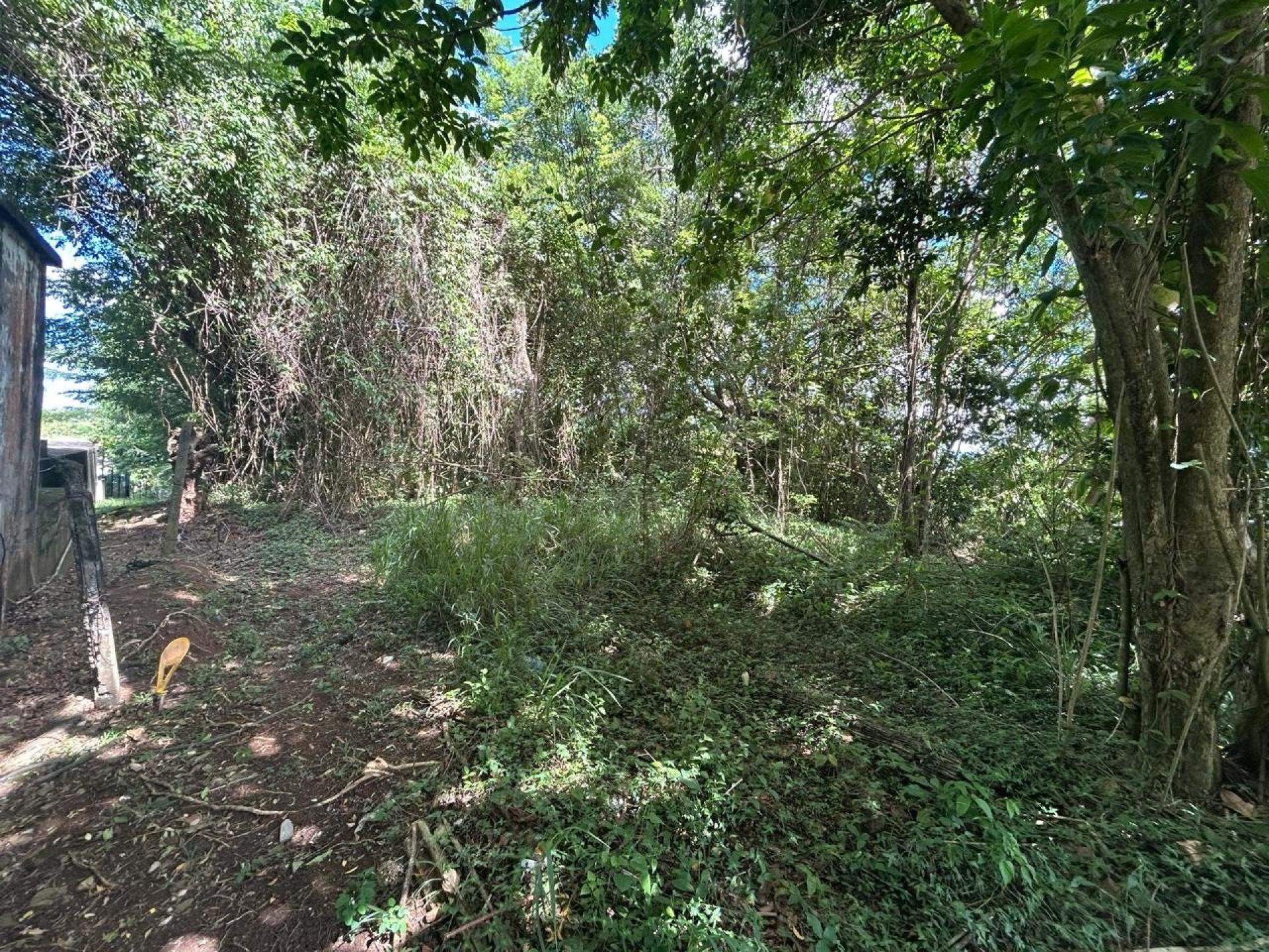 Photo-terrain