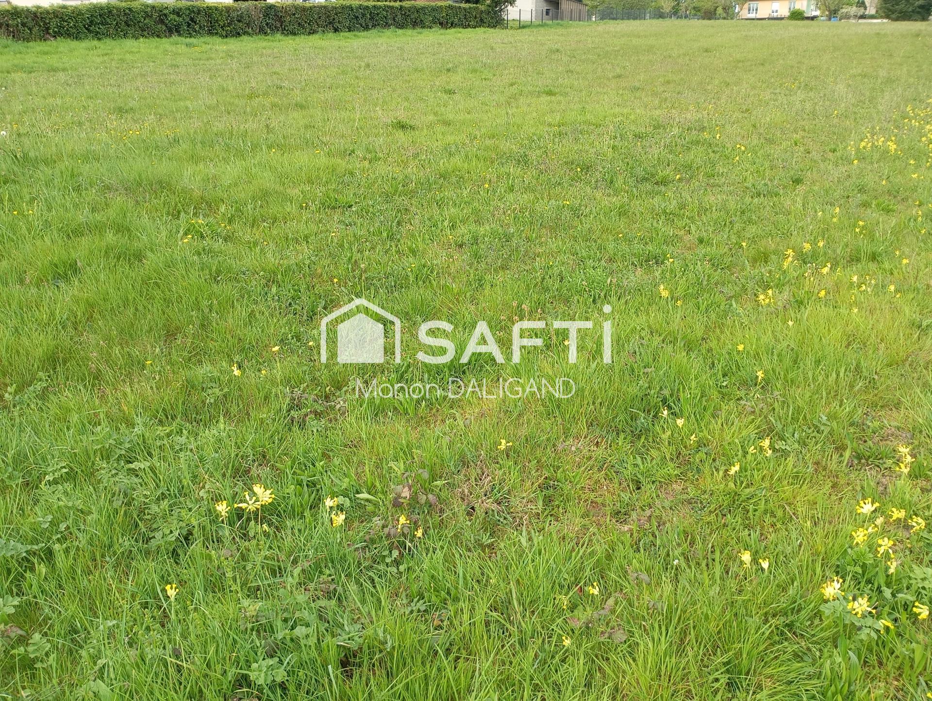 Photo-terrain