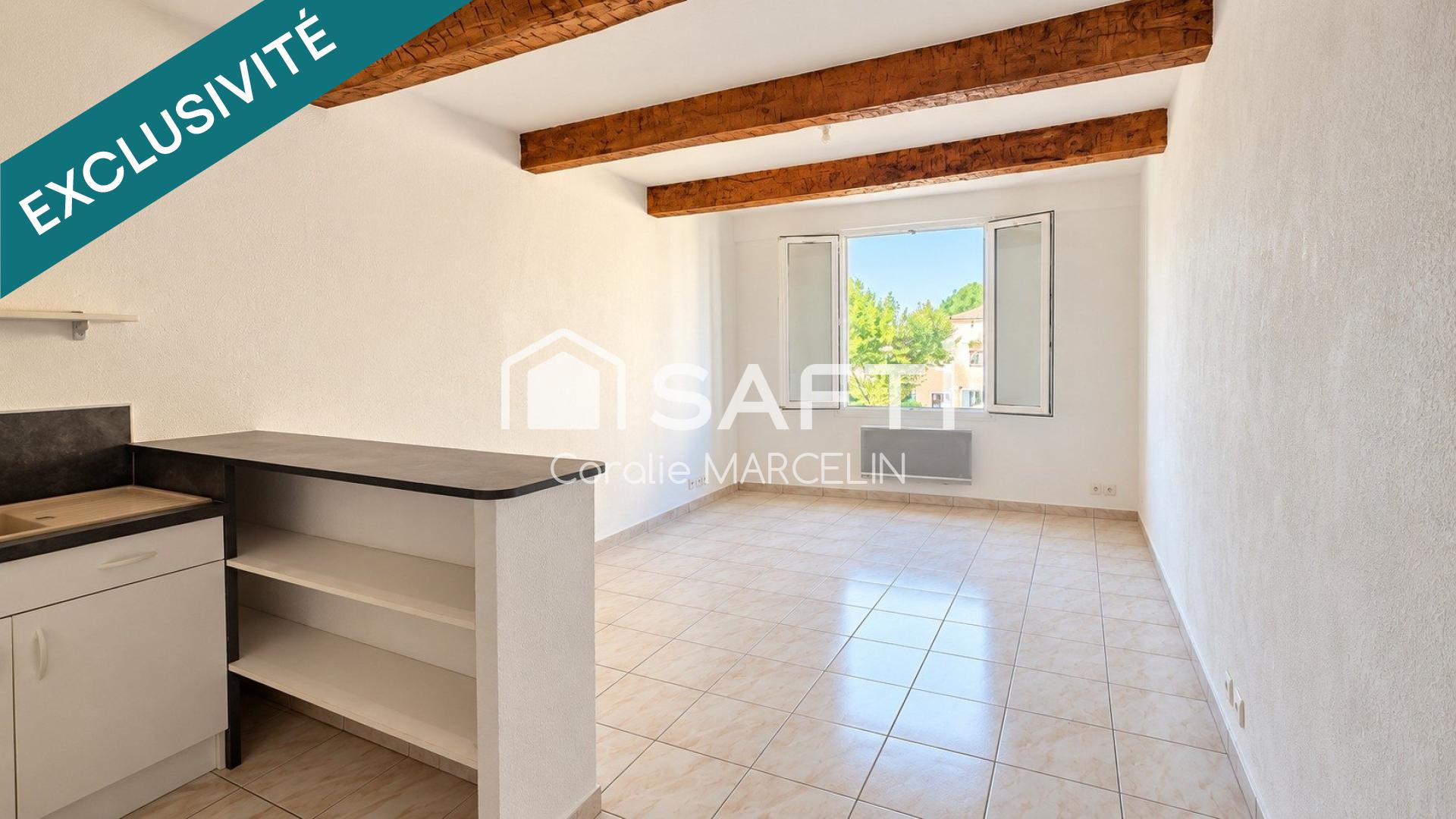 Idéal location ou premier achat