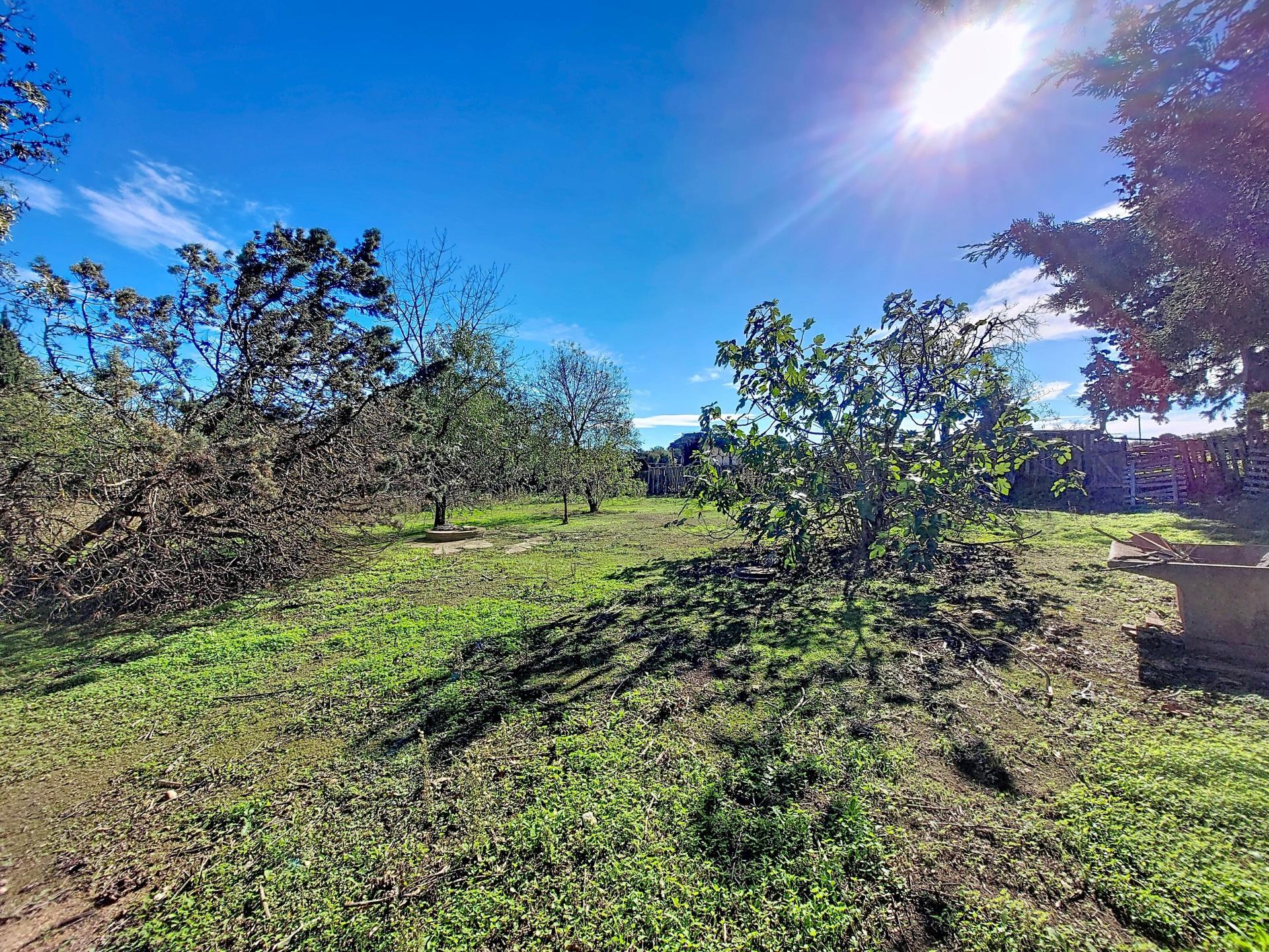 Photo-terrain