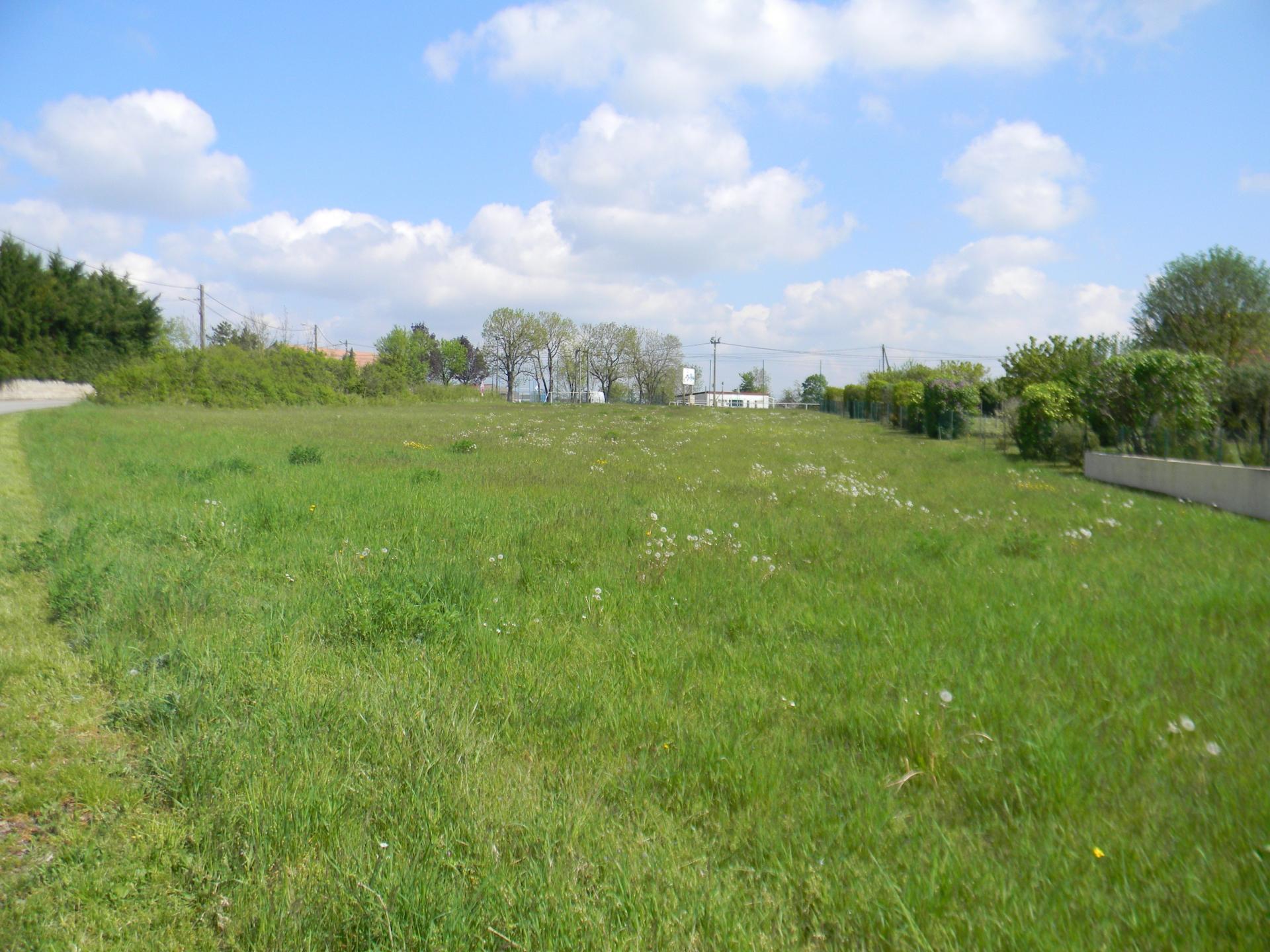 Photo-terrain