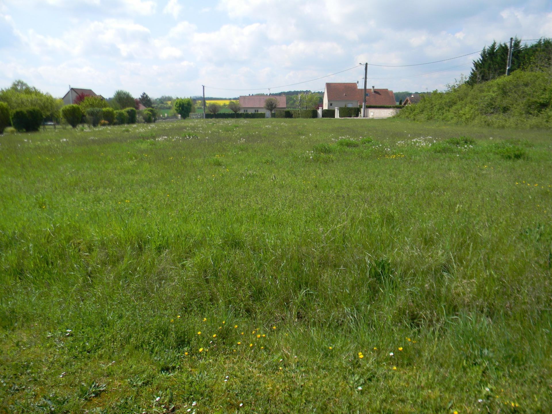 Photo-terrain