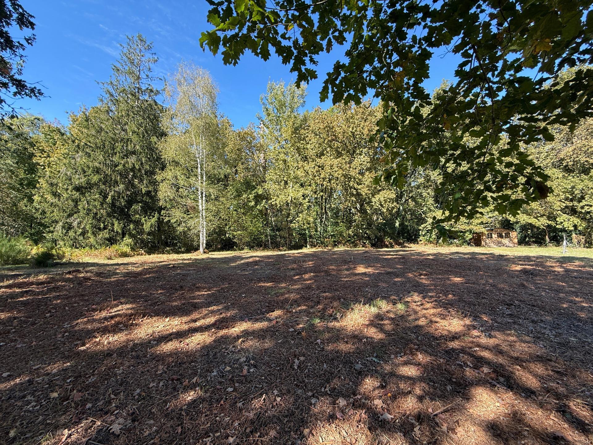 Photo-terrain