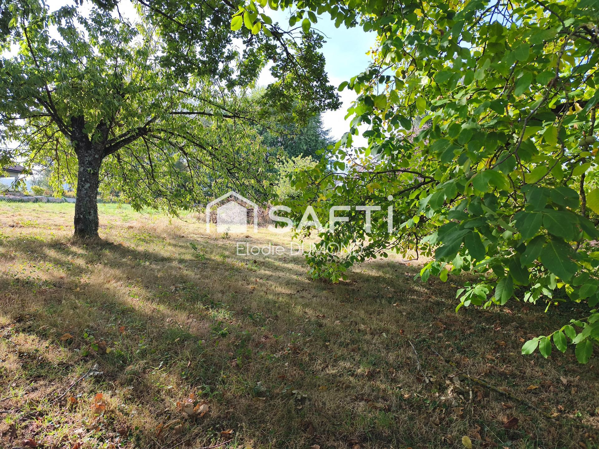 Photo-terrain