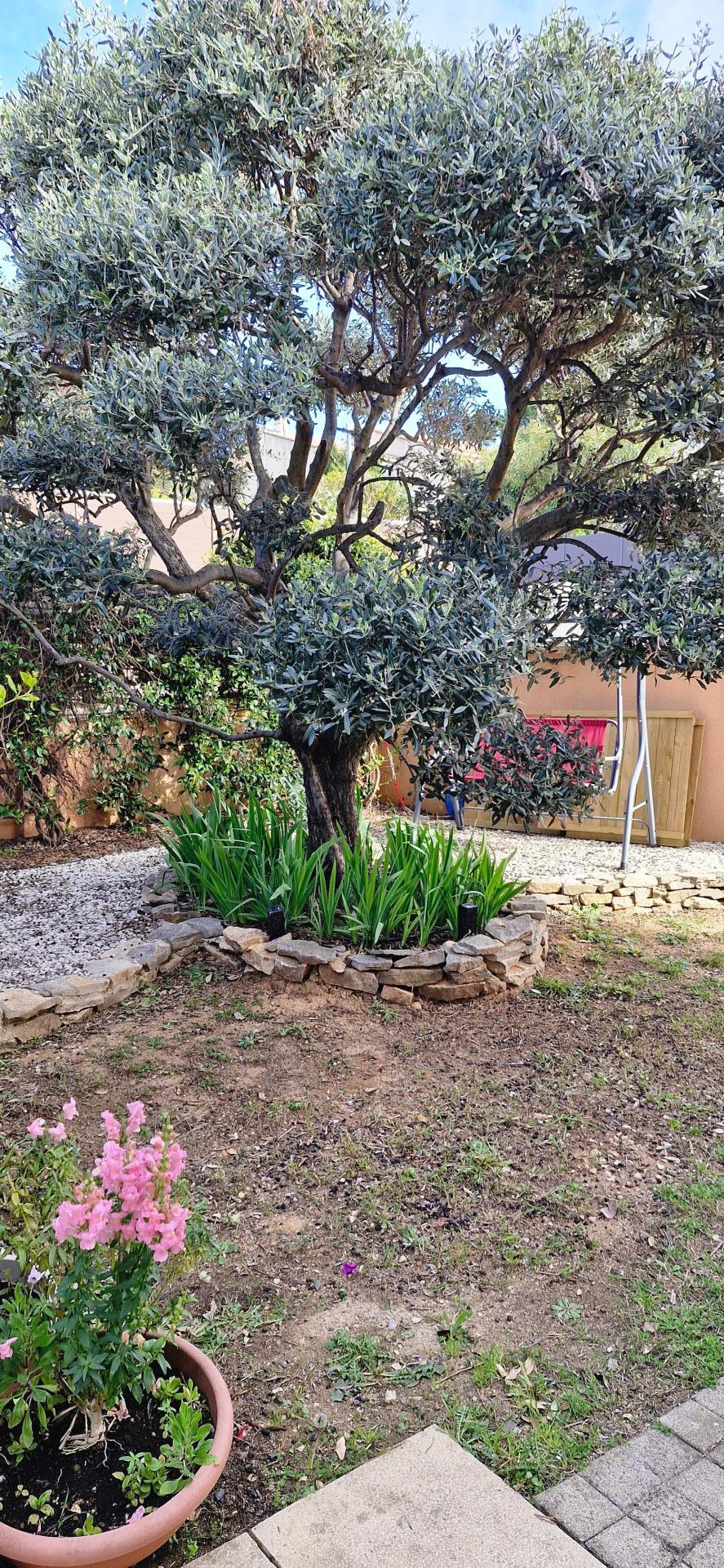 Photo 14 de l'annonce.