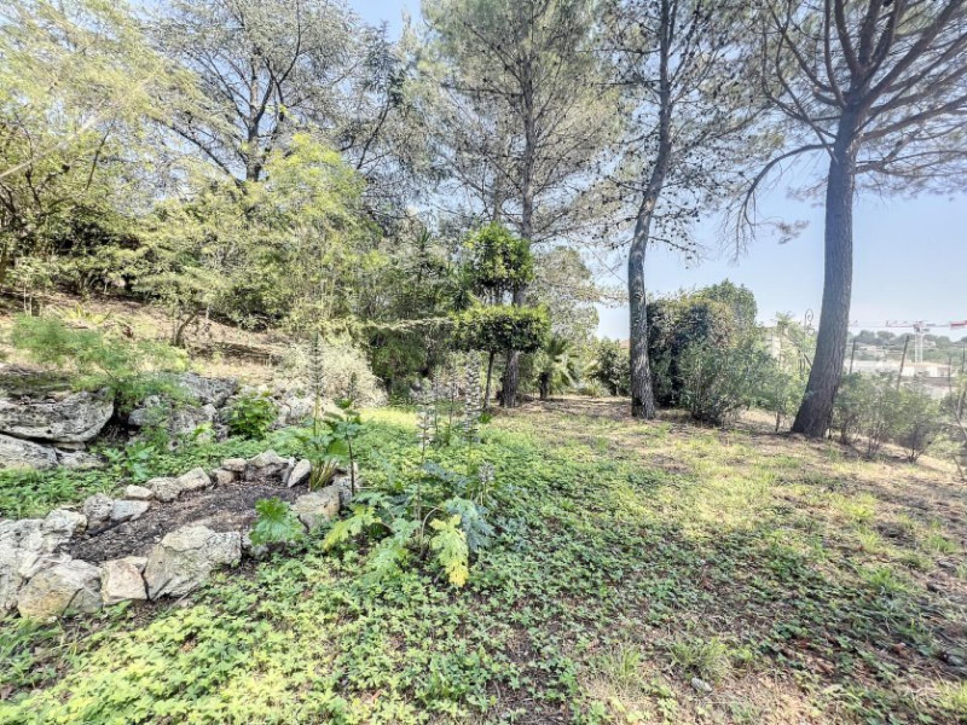 Photo 7 of the listing.