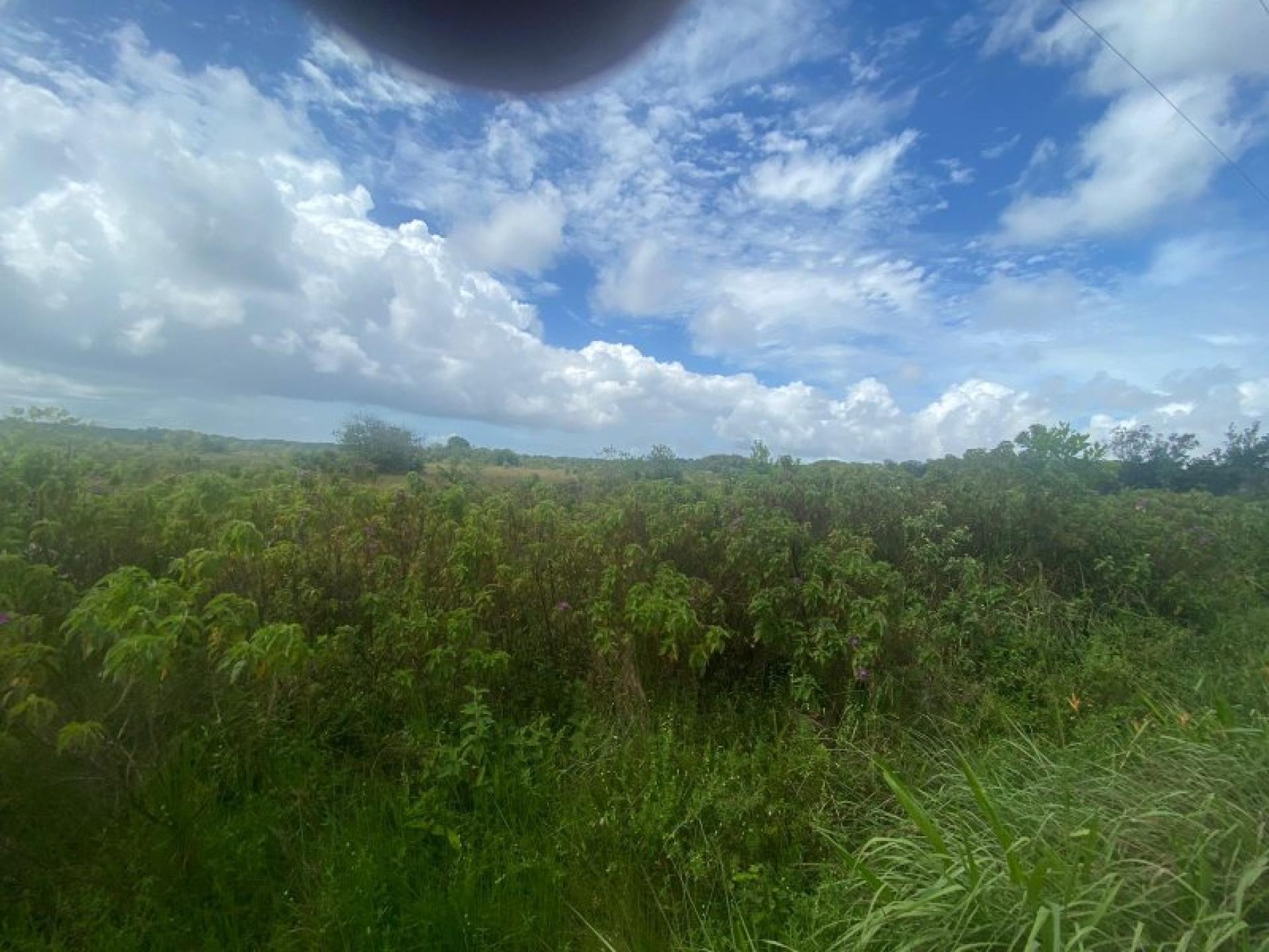 Photo 2 de l'annonce.