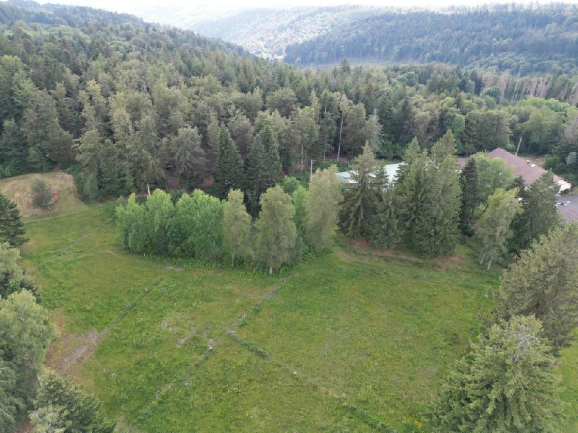 Photo 4 de l'annonce.