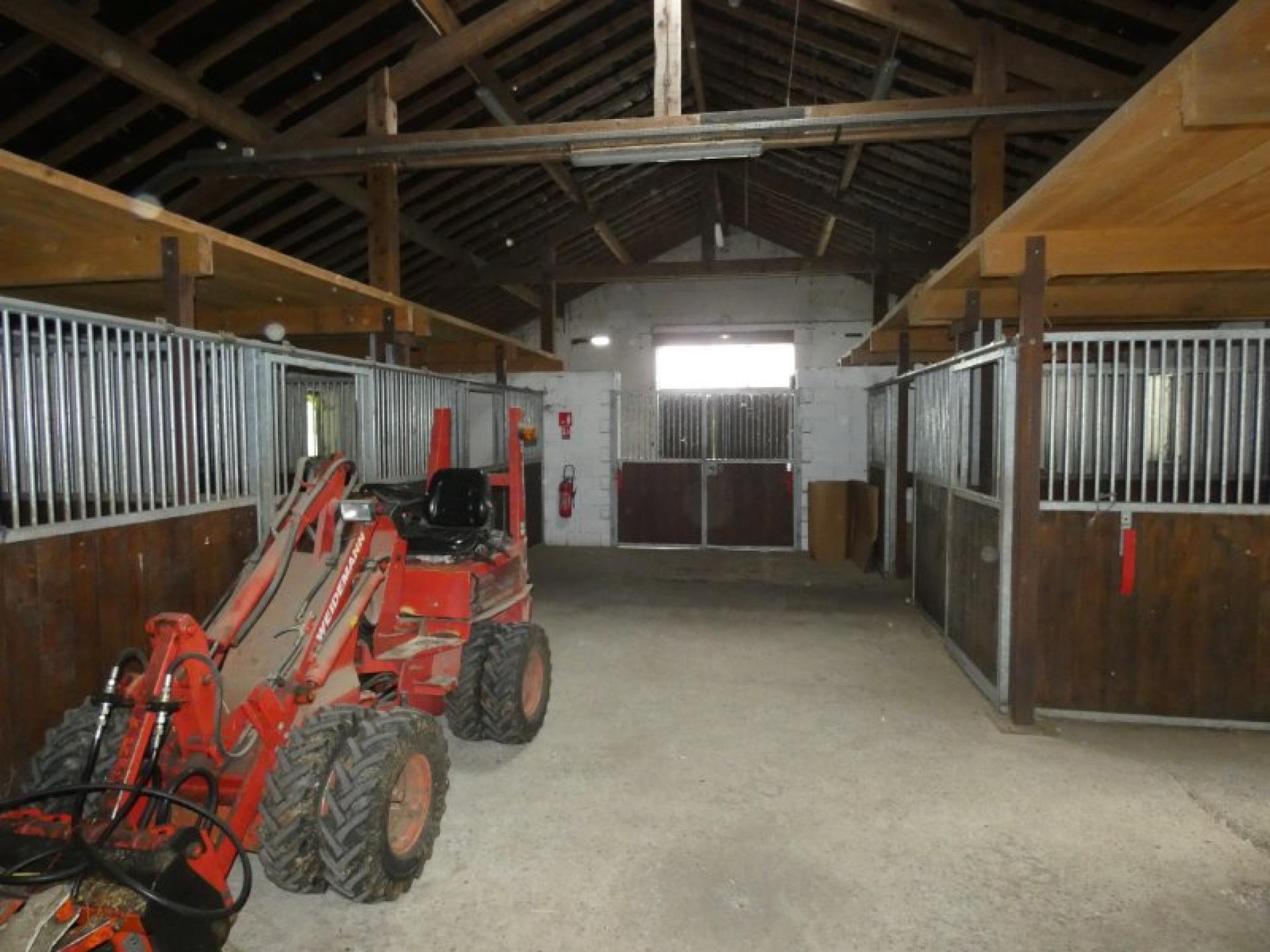 Photo 14 de l'annonce.