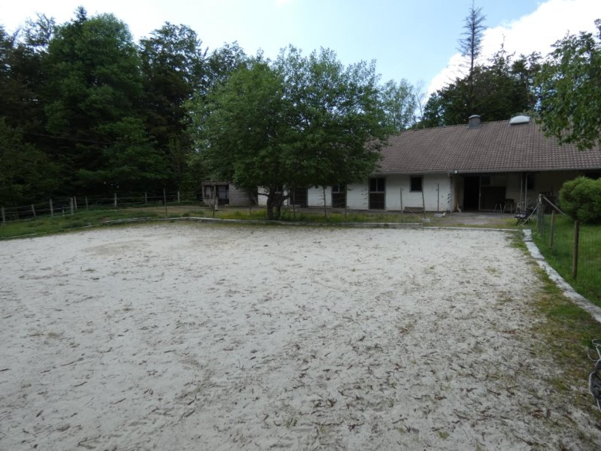 Photo 12 de l'annonce.