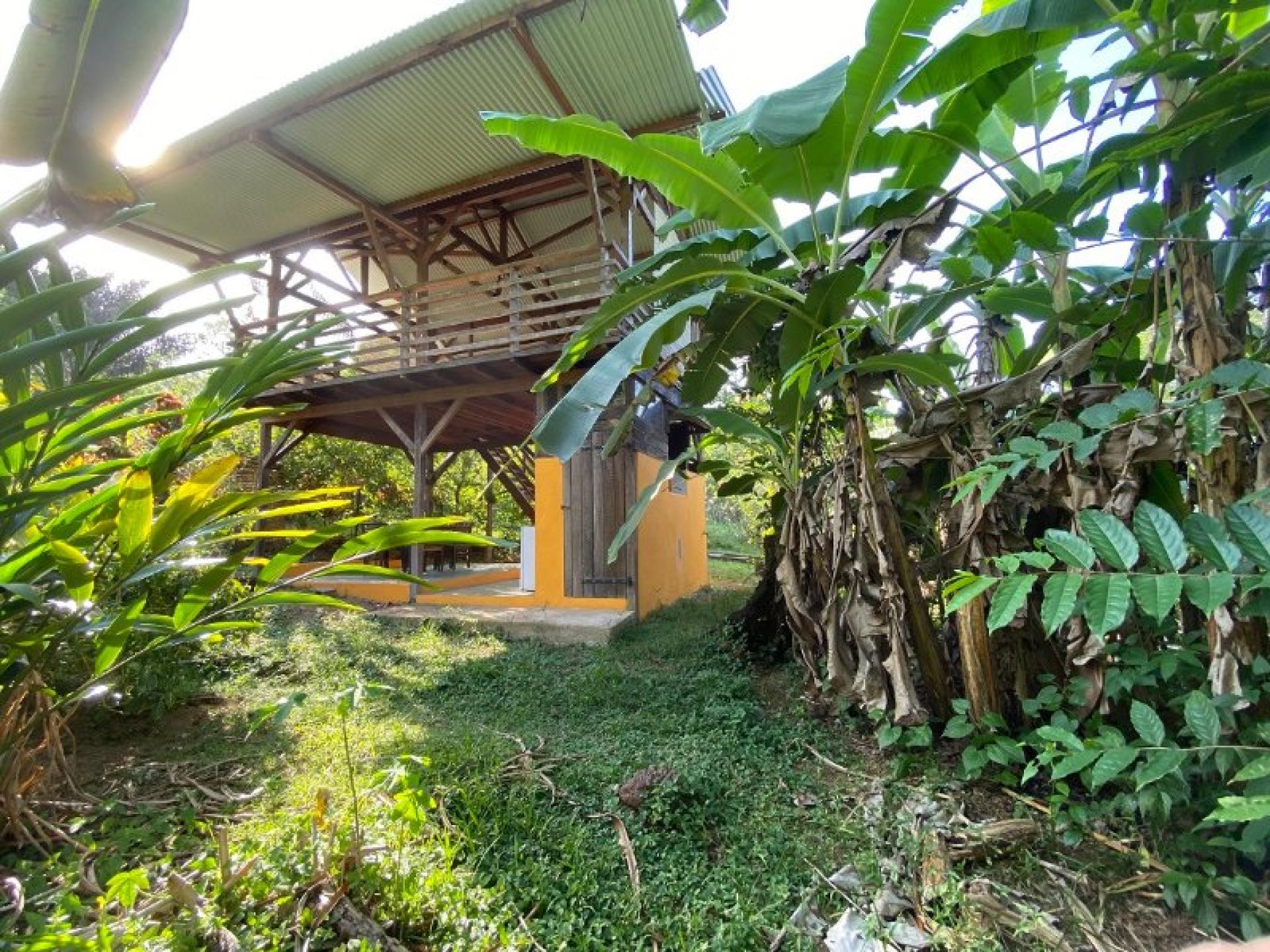 Photo 15 de l'annonce.