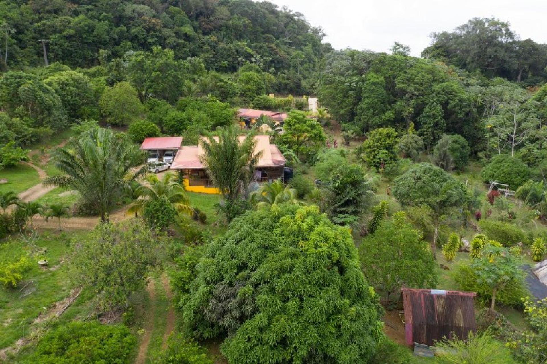 Photo 4 de l'annonce.