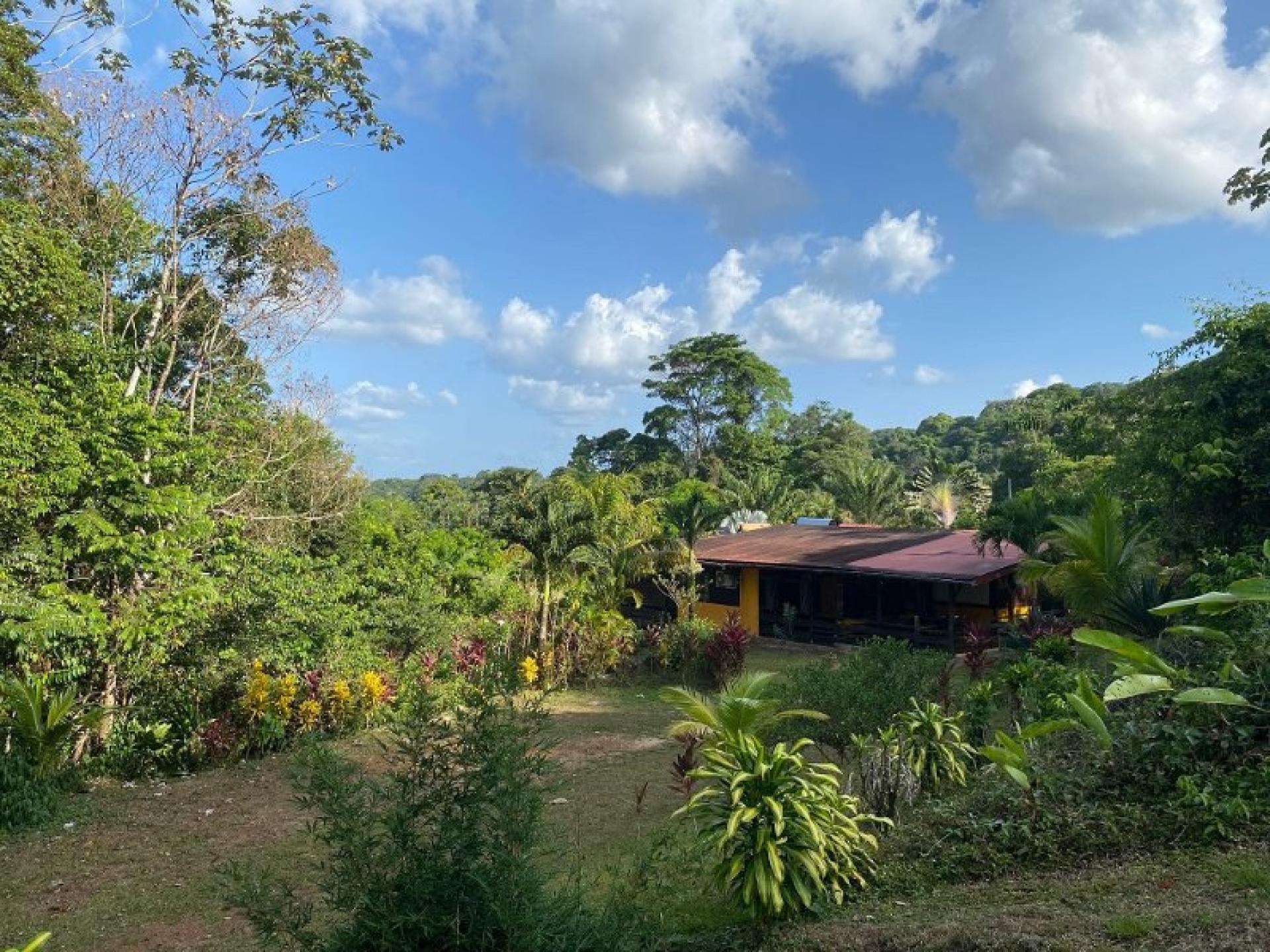 Photo 2 de l'annonce.