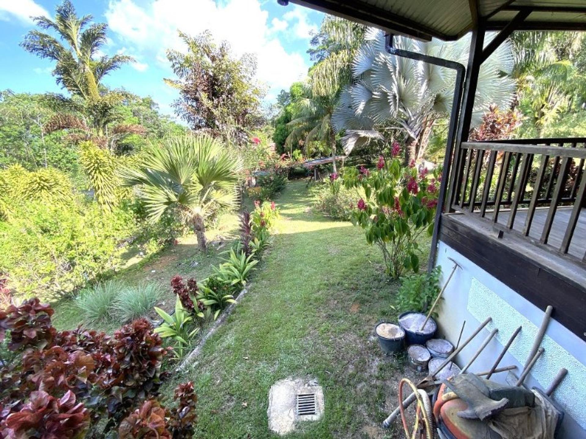 Photo 3 de l'annonce.