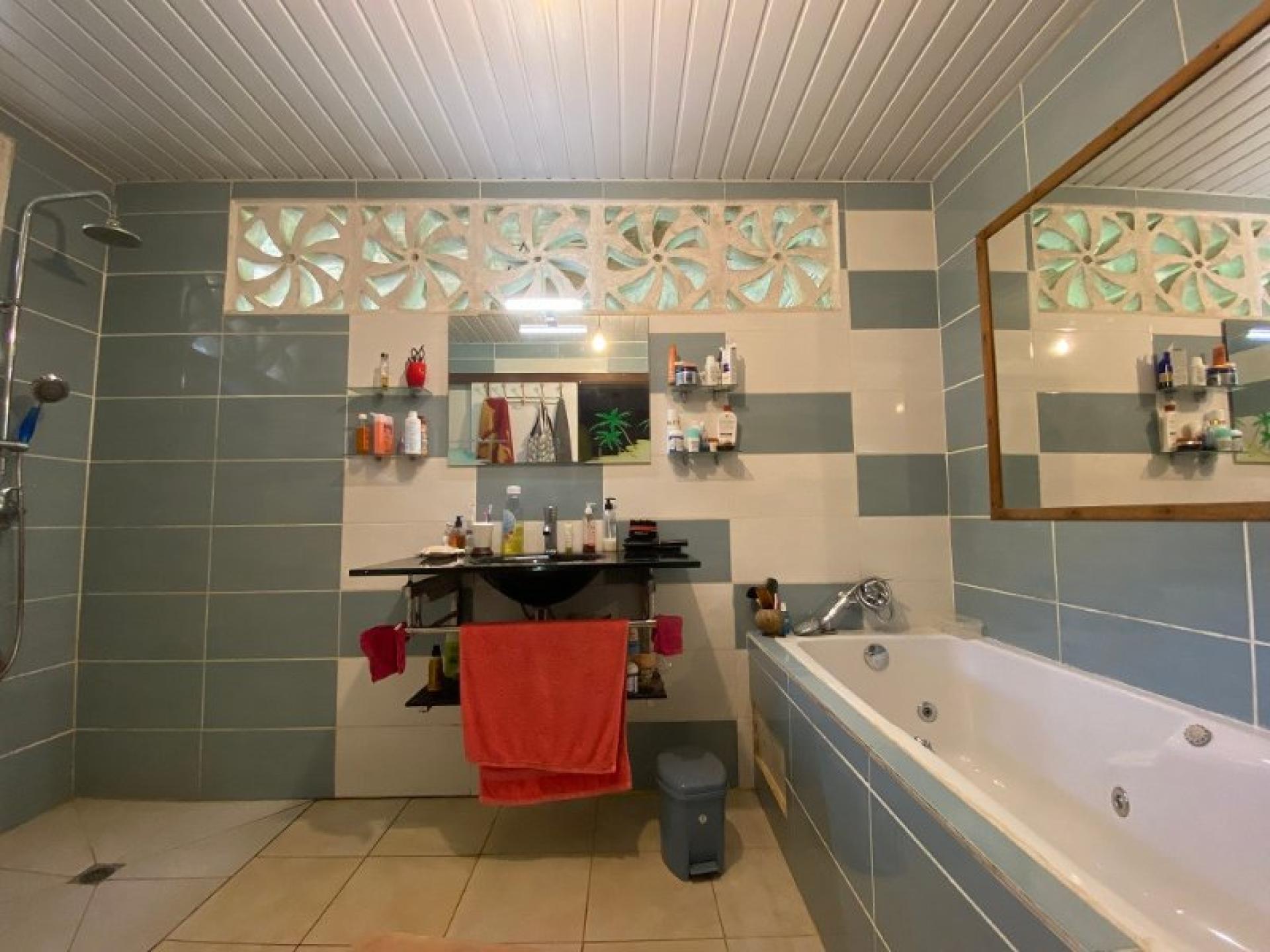 Photo 12 de l'annonce.