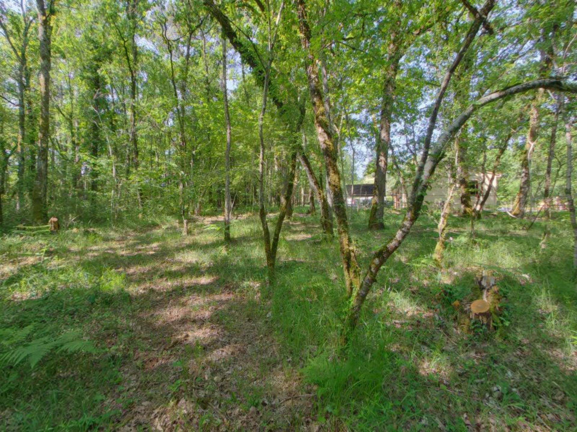 Photo 14 de l'annonce.