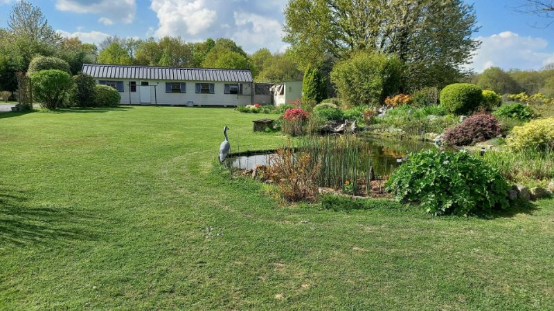 Photo 12 of the listing.