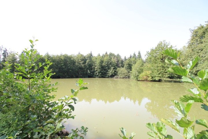 Photo 3 de l'annonce.